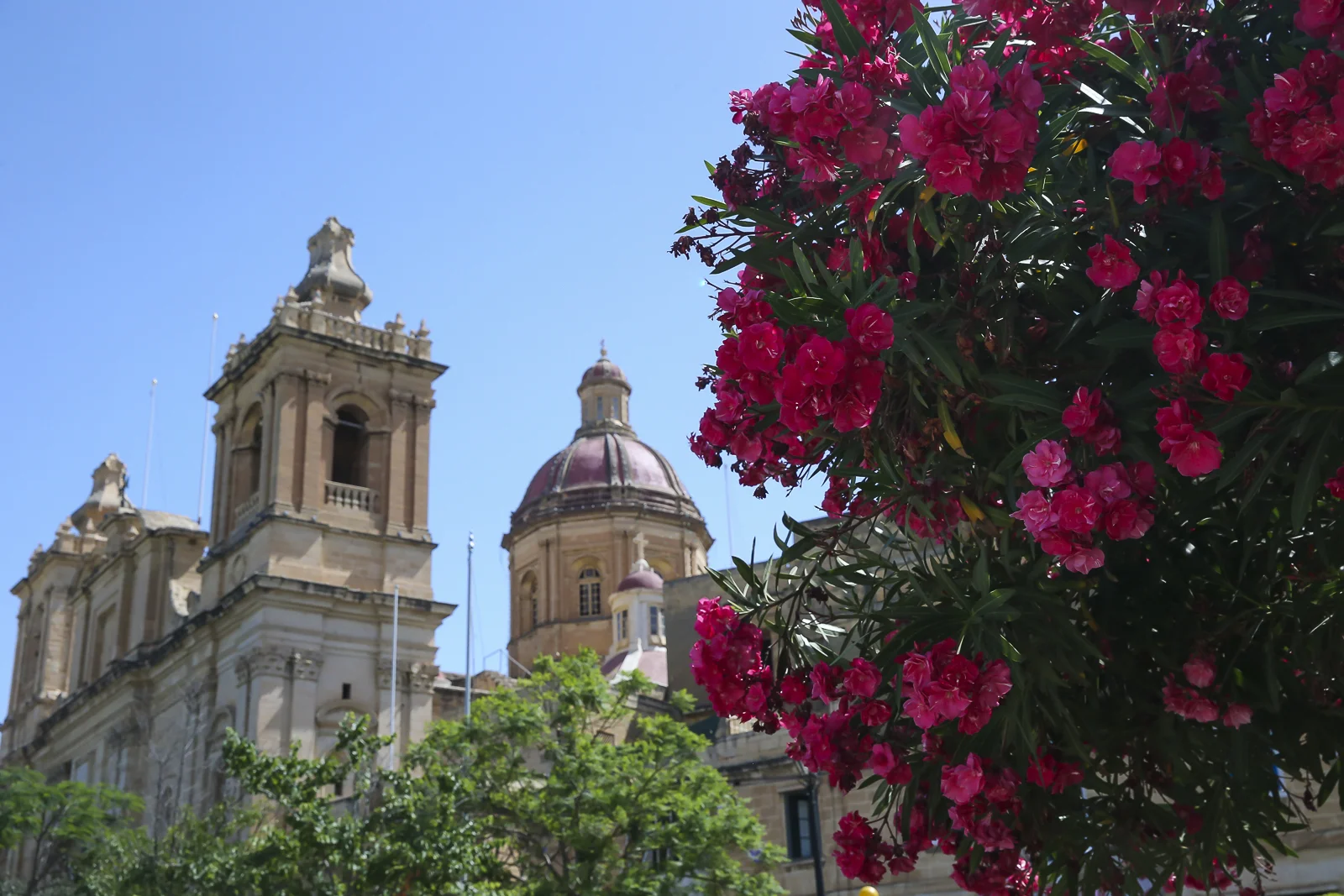 2017 Europe Malta-43.JPG