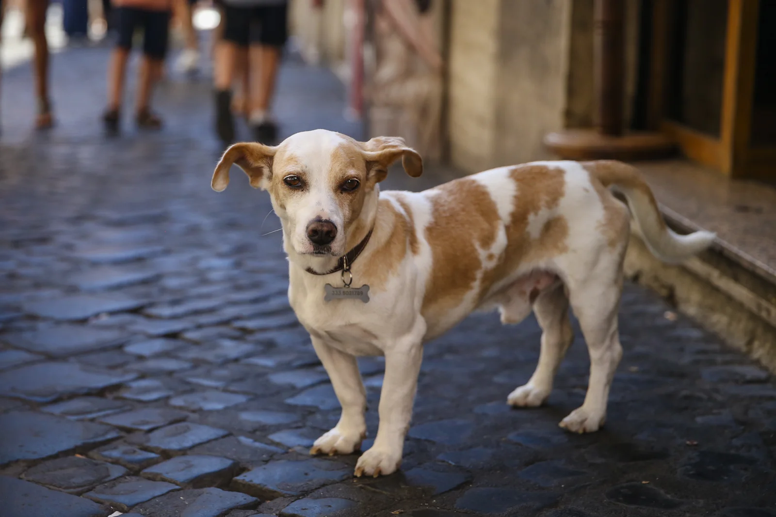 2017 Europe Rome-13.JPG