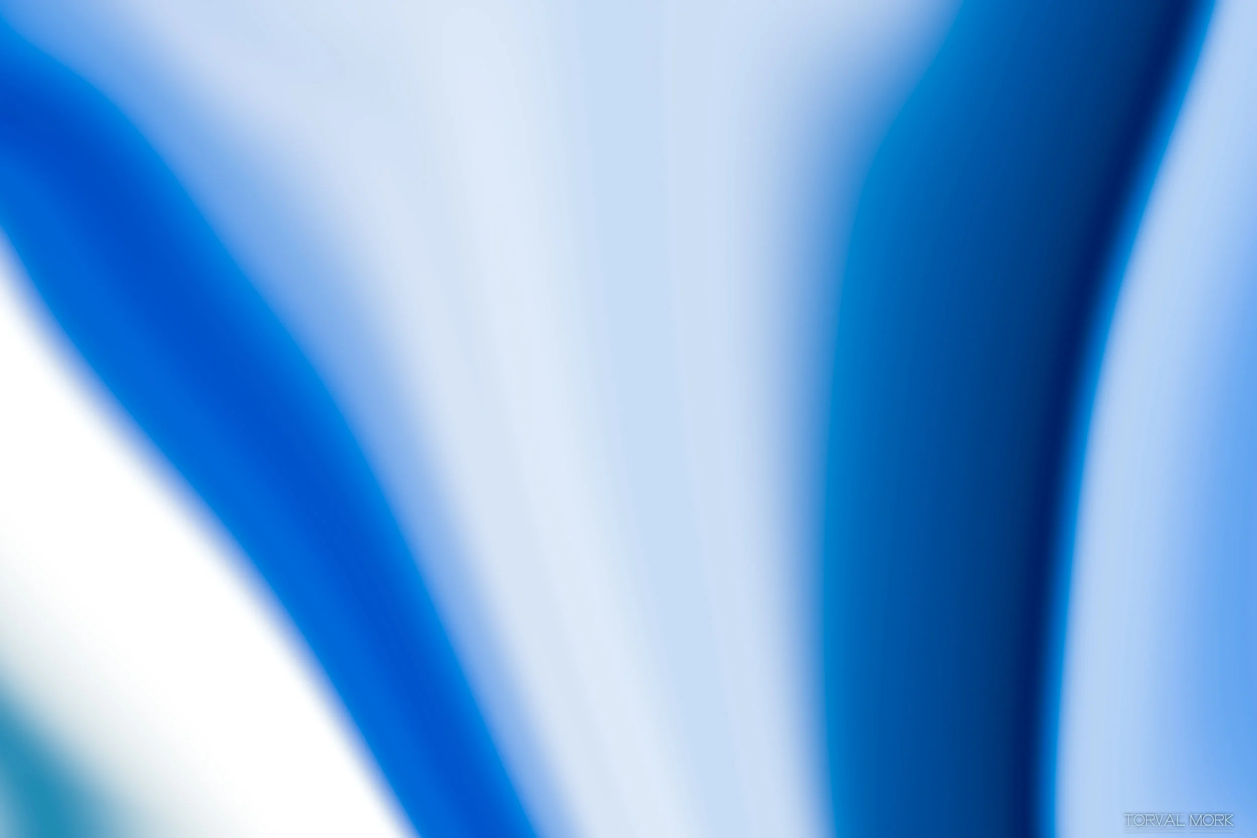 2017 OTTAWA ABSTRACT-11.JPG