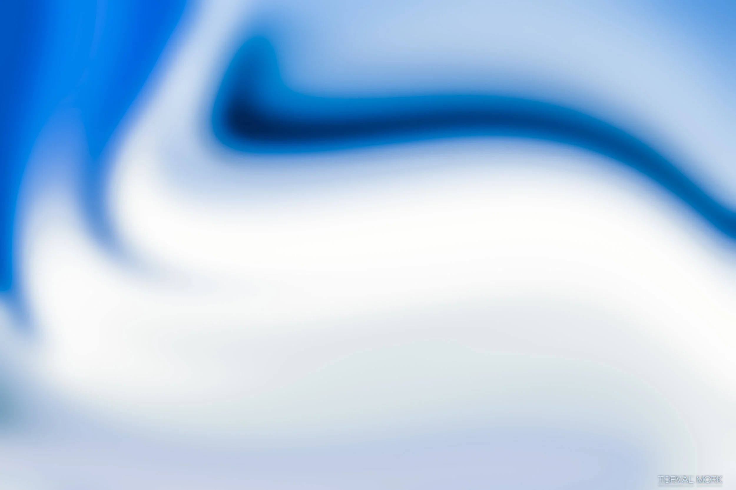 2017 OTTAWA ABSTRACT-14.JPG