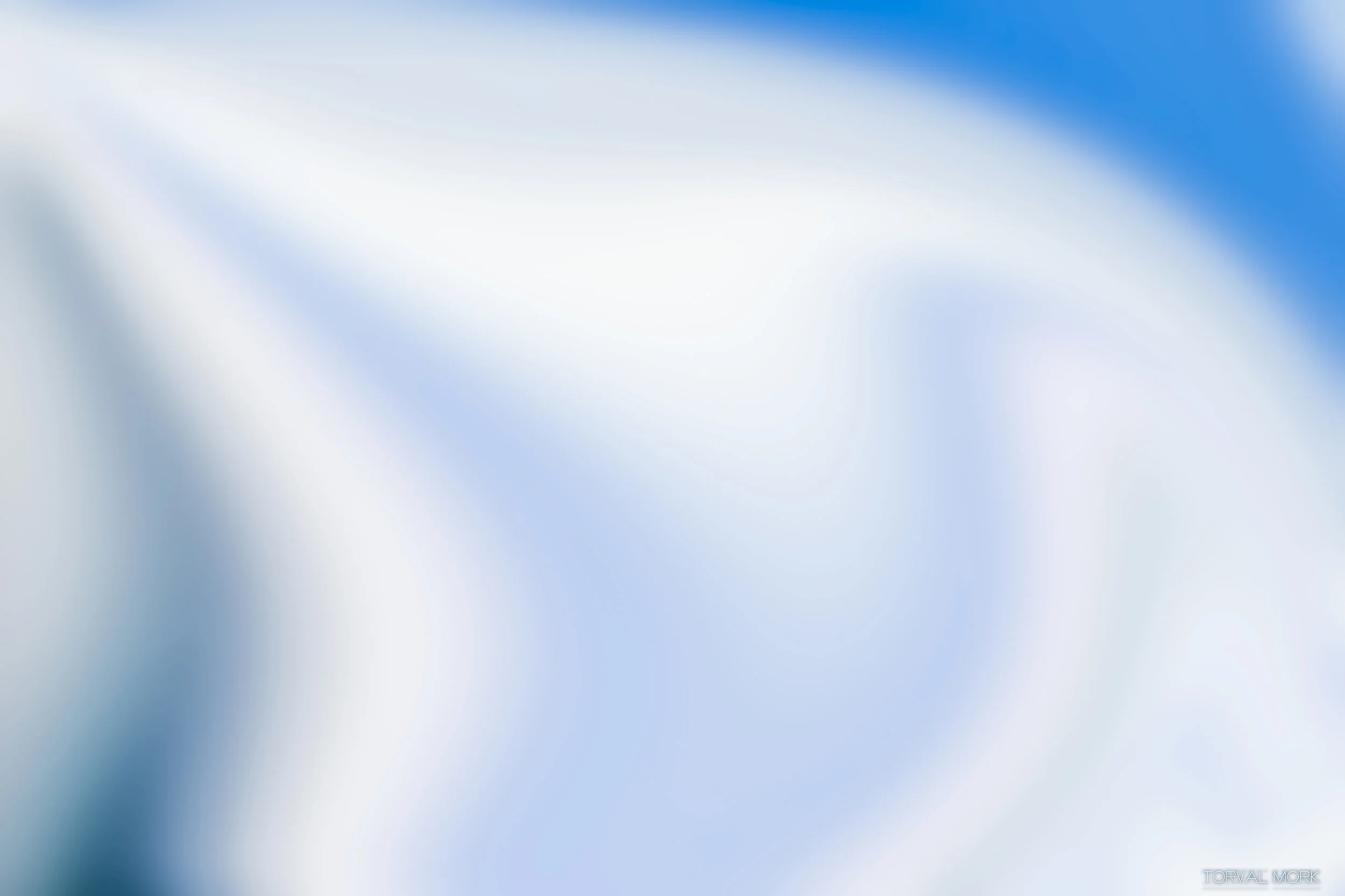 2017 OTTAWA ABSTRACT-15.JPG