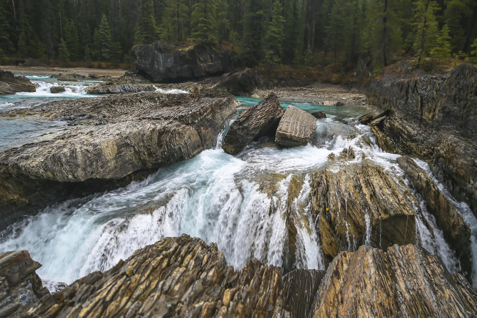 2017 EMERALD LAKE-6.JPG