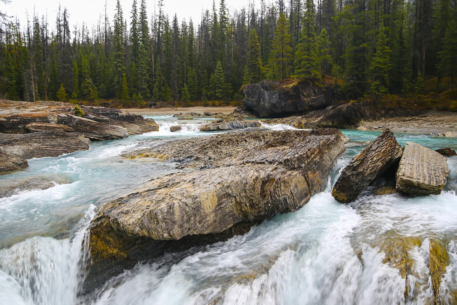 2017 EMERALD LAKE-7.JPG
