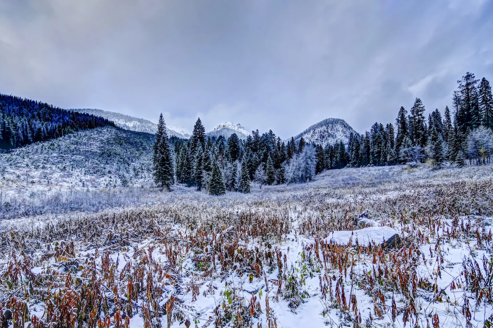 2017 EMERALD LAKE-22.JPG