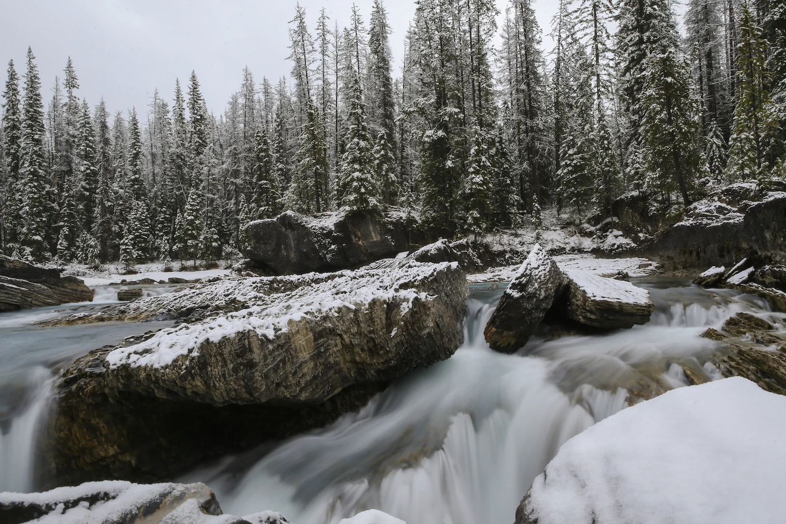 2017 EMERALD LAKE-44.JPG