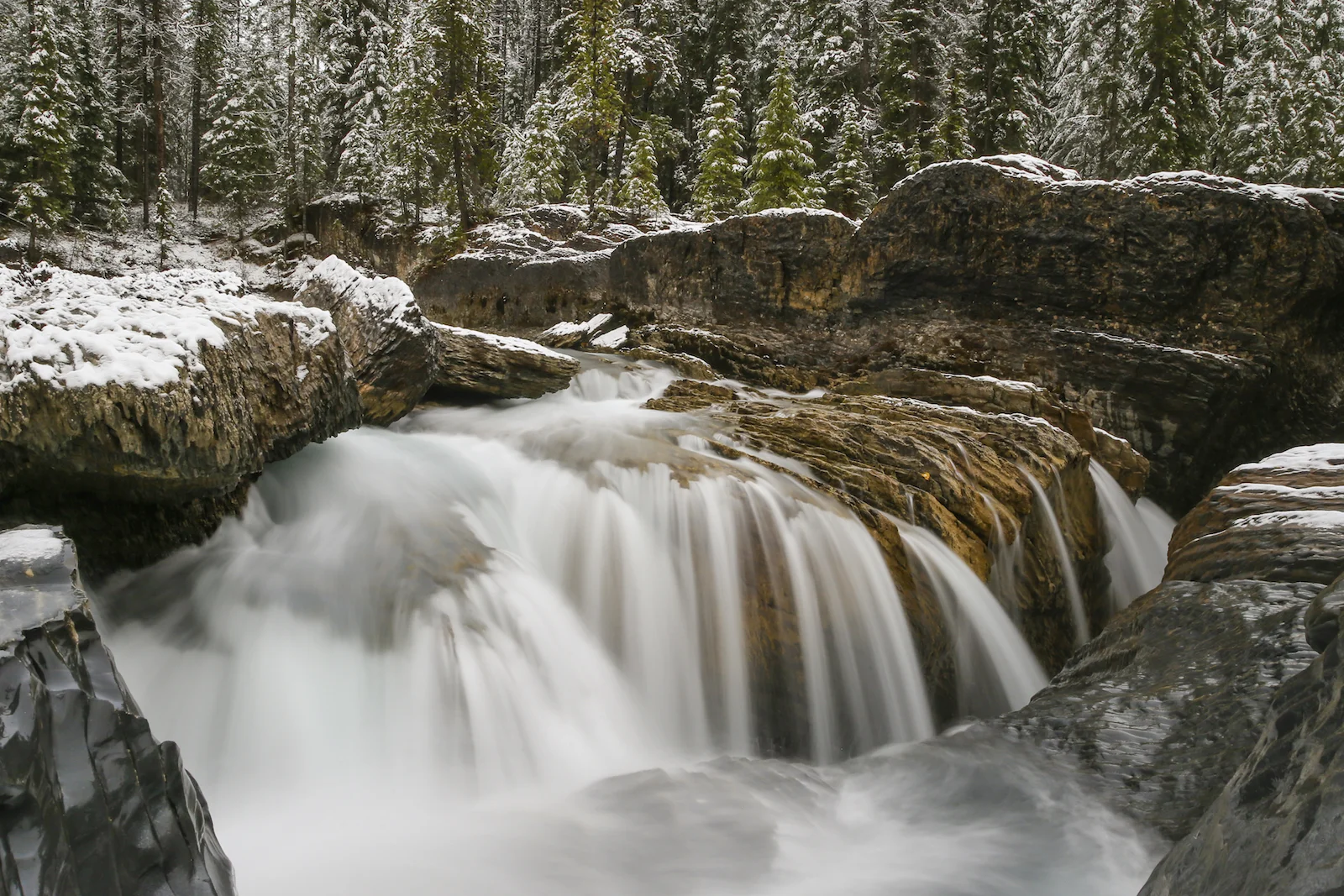 2017 EMERALD LAKE-45.JPG