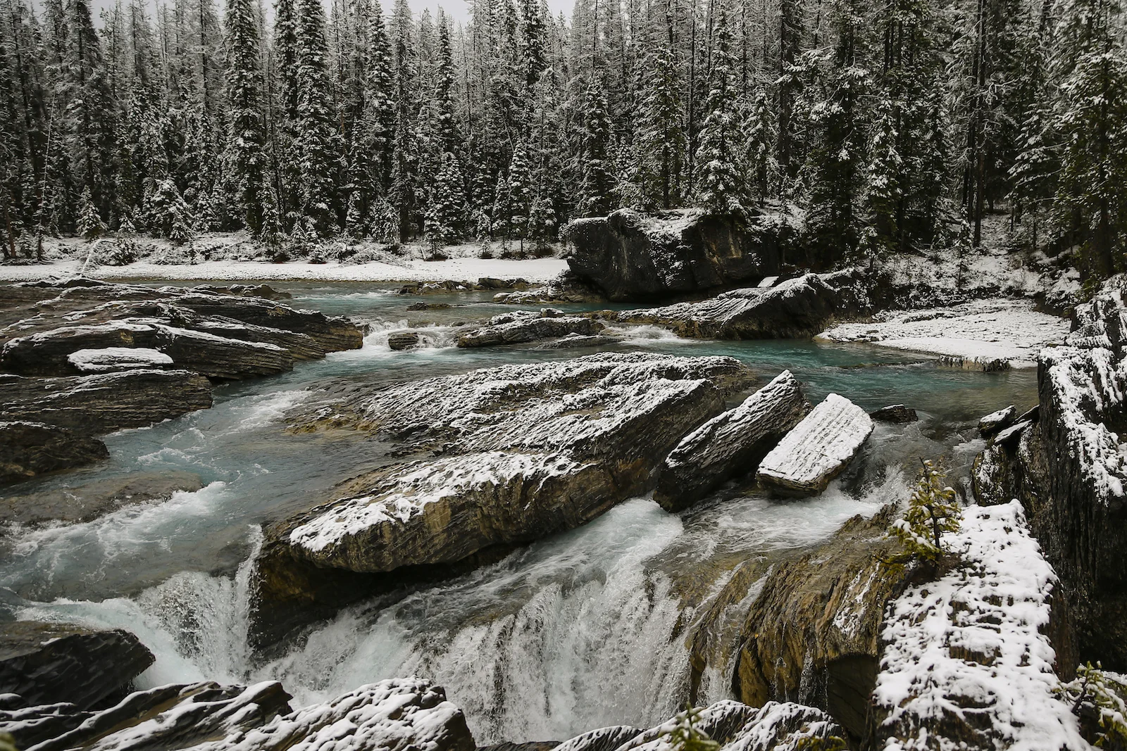 2017 EMERALD LAKE-49.JPG