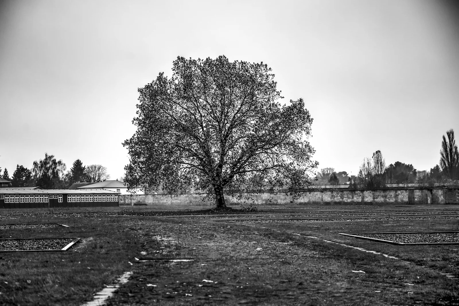 2017 FALL BREAK BERLIN SACHSENHOUSEN-21.JPG