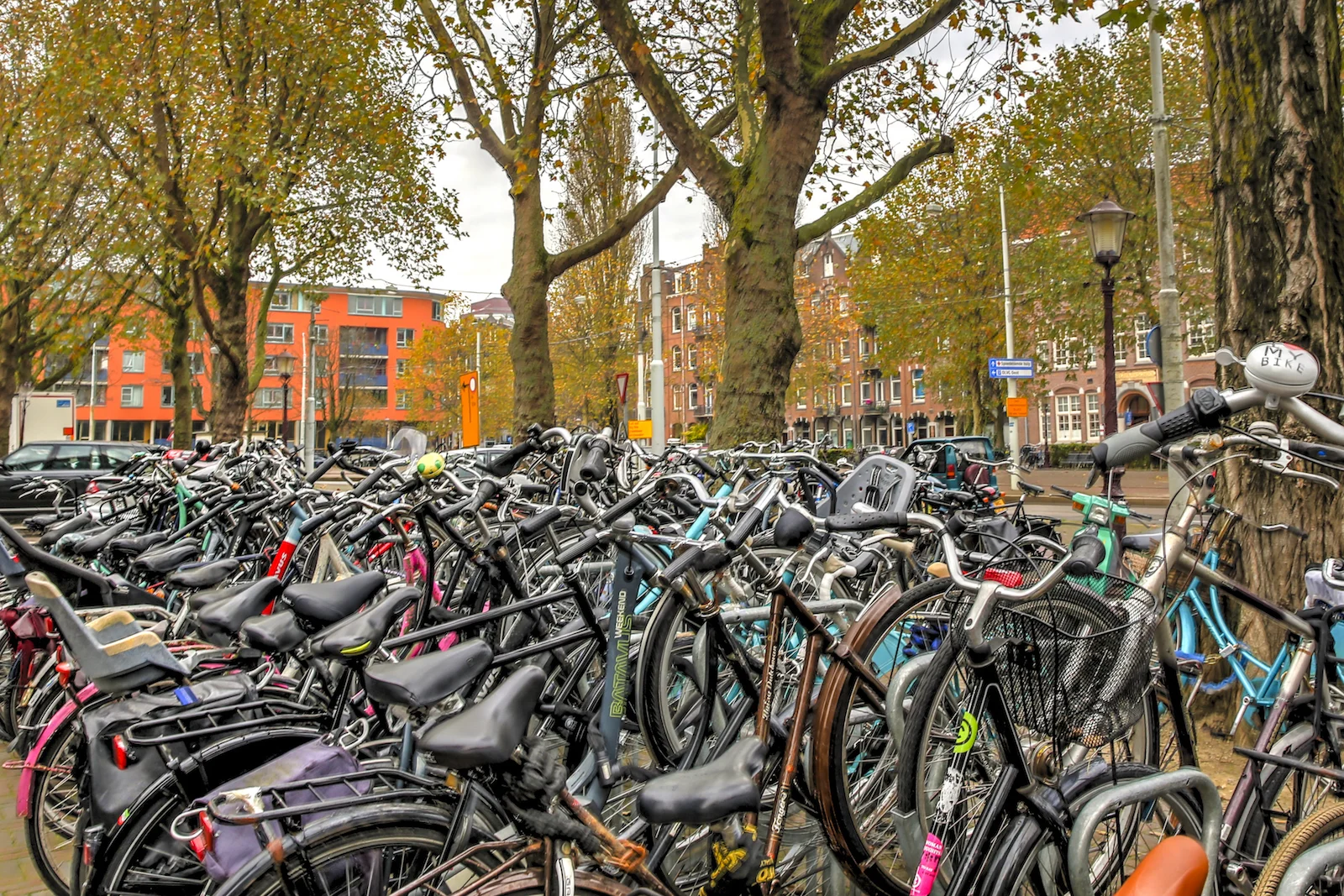 2017 FALL BREAK AMSTERDAM-30.JPG