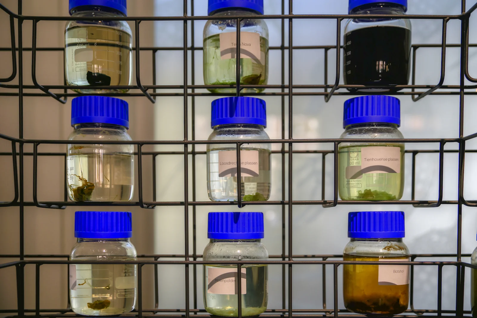 2017 FALL BREAK AMSTERDAM-36.JPG