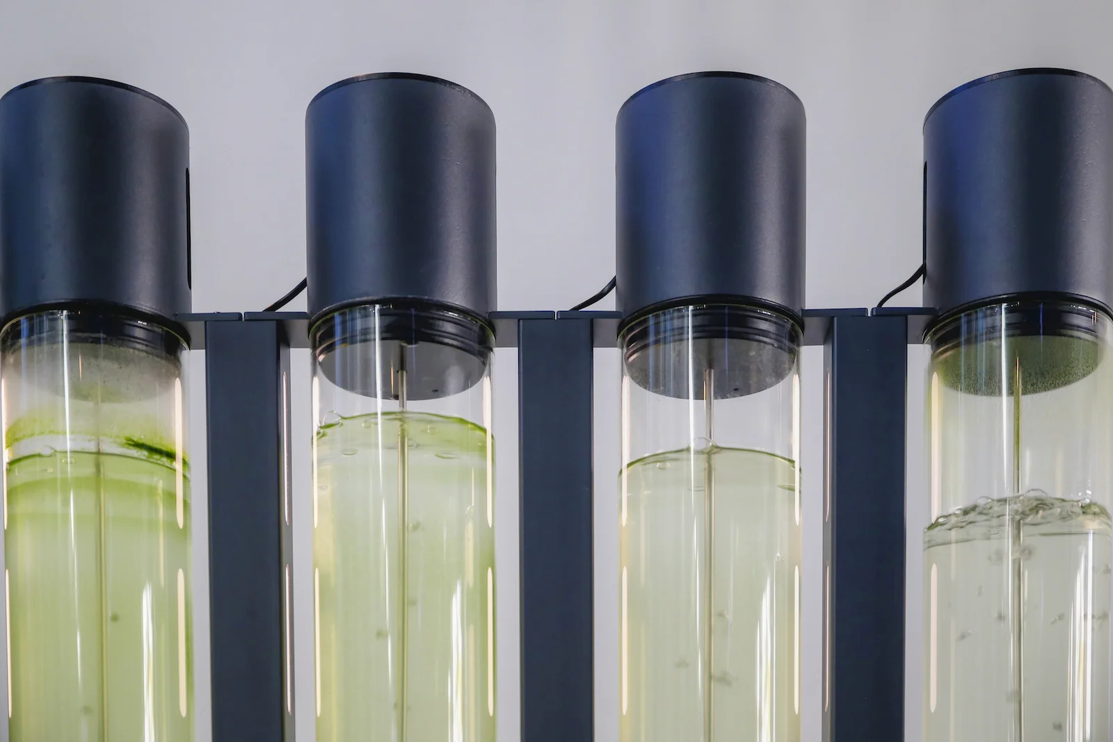 2017 FALL BREAK AMSTERDAM-38.JPG