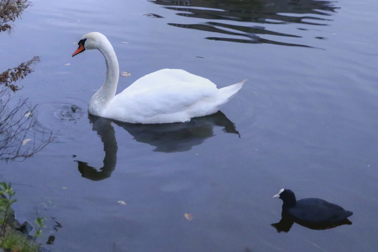 2017 FALL BREAK AMSTERDAM-56.JPG