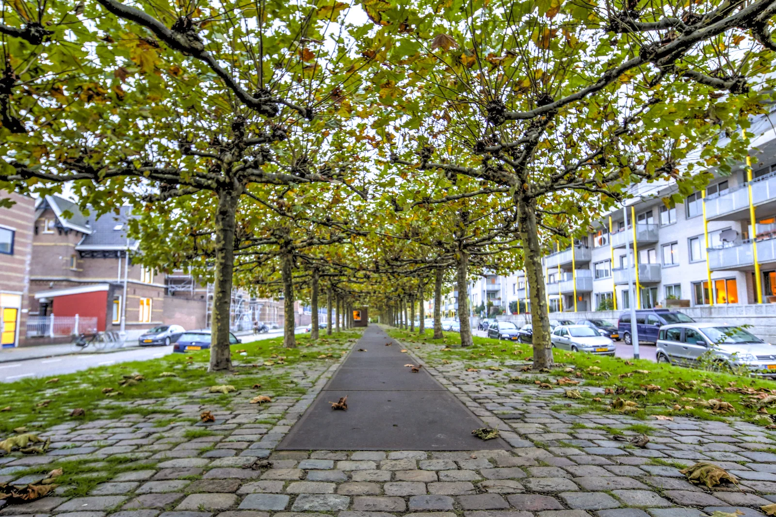 2017 FALL BREAK AMSTERDAM-55.JPG