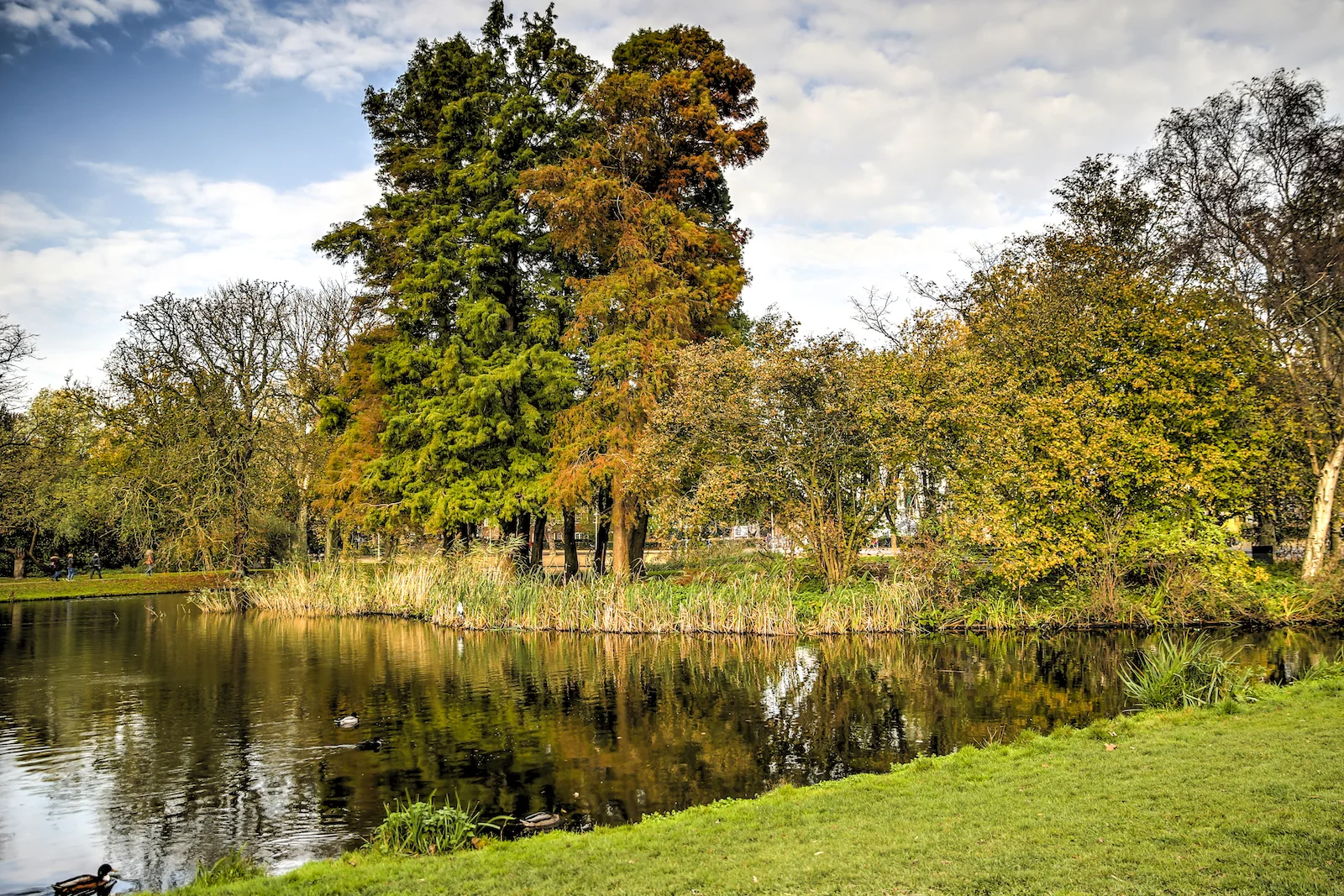 2017 FALL BREAK AMSTERDAM-71.JPG