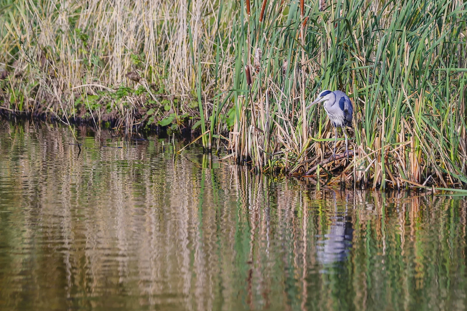 2017 FALL BREAK AMSTERDAM-72.JPG
