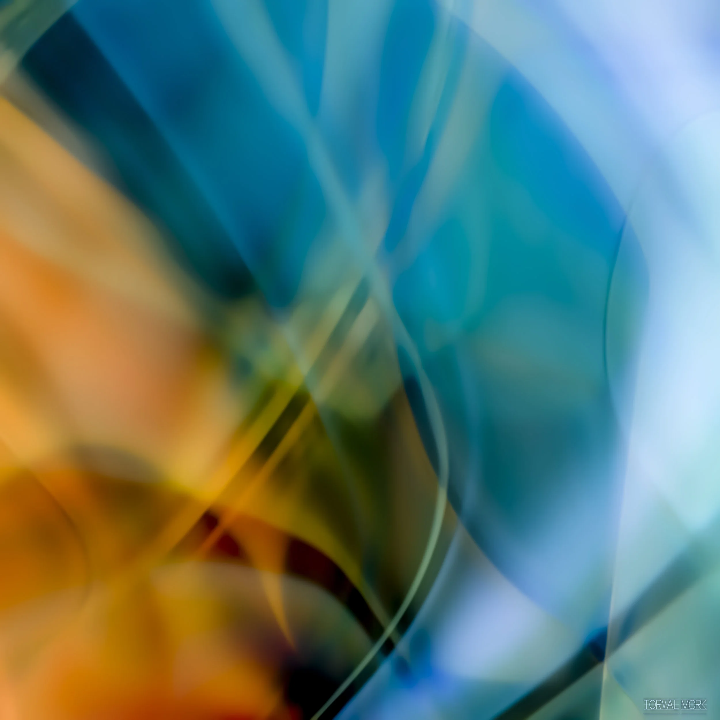 TM DIGITAL ART 20180208-6.JPG