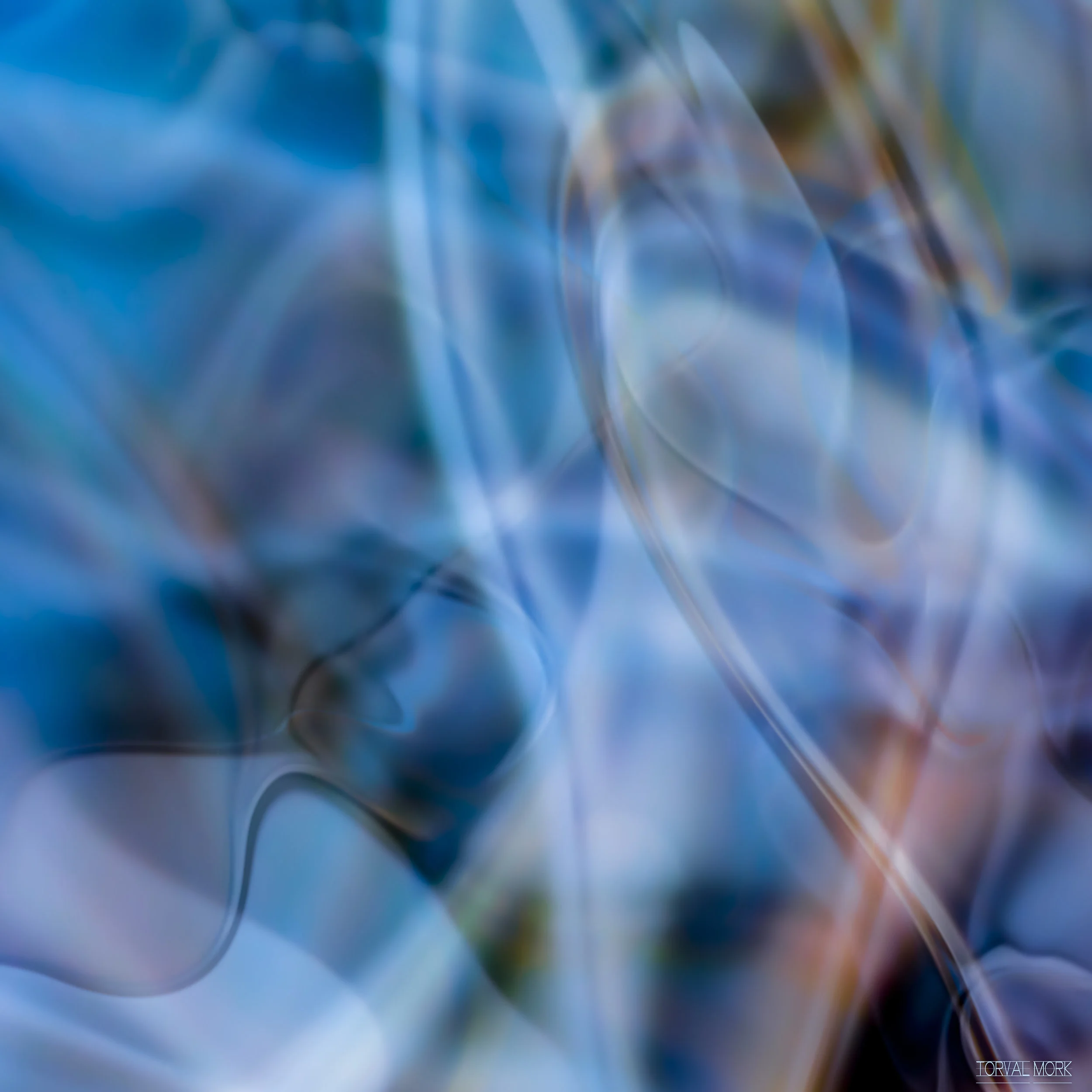 TM DIGITAL ART 20180208-7.JPG