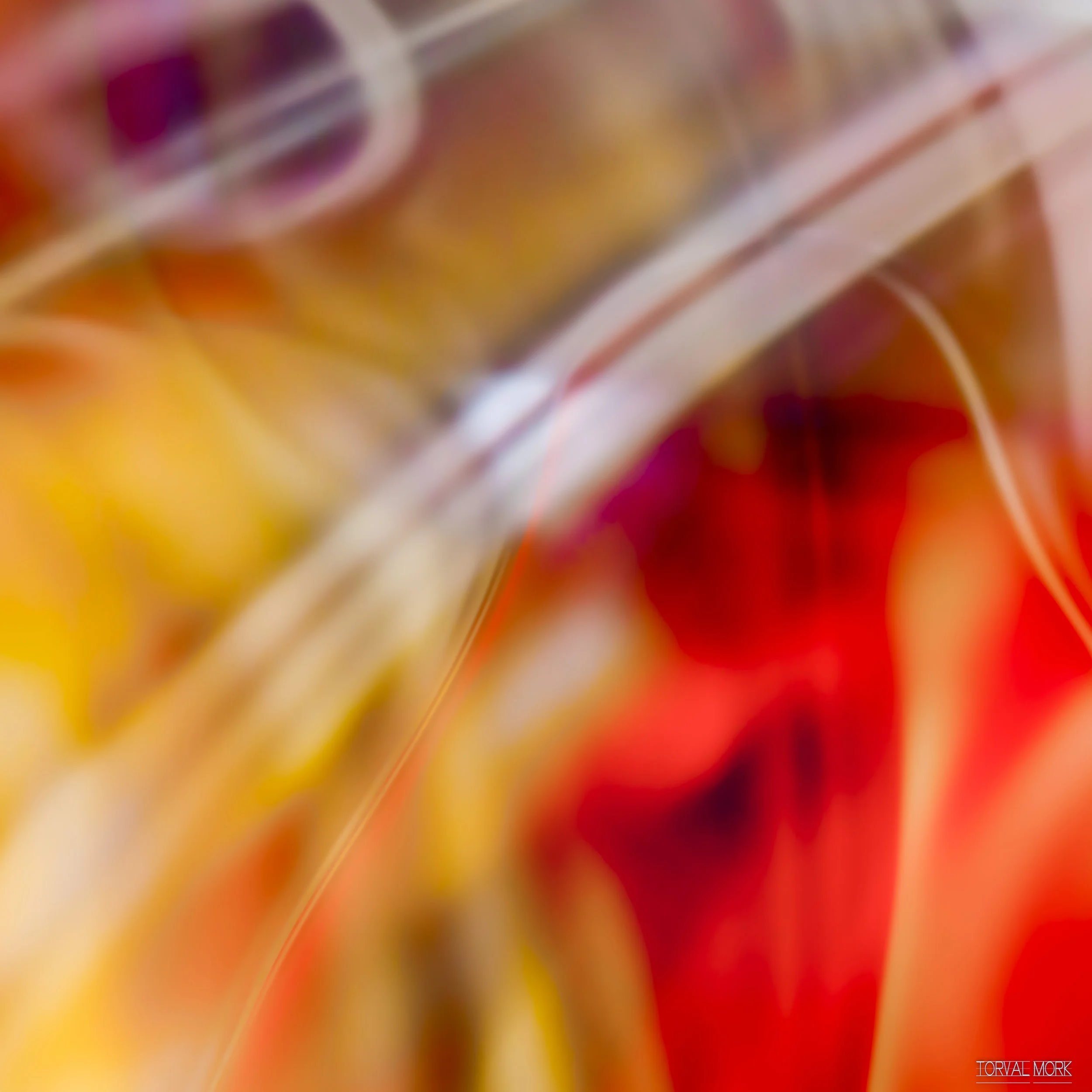 TM DIGITAL ART 20180208-8.JPG