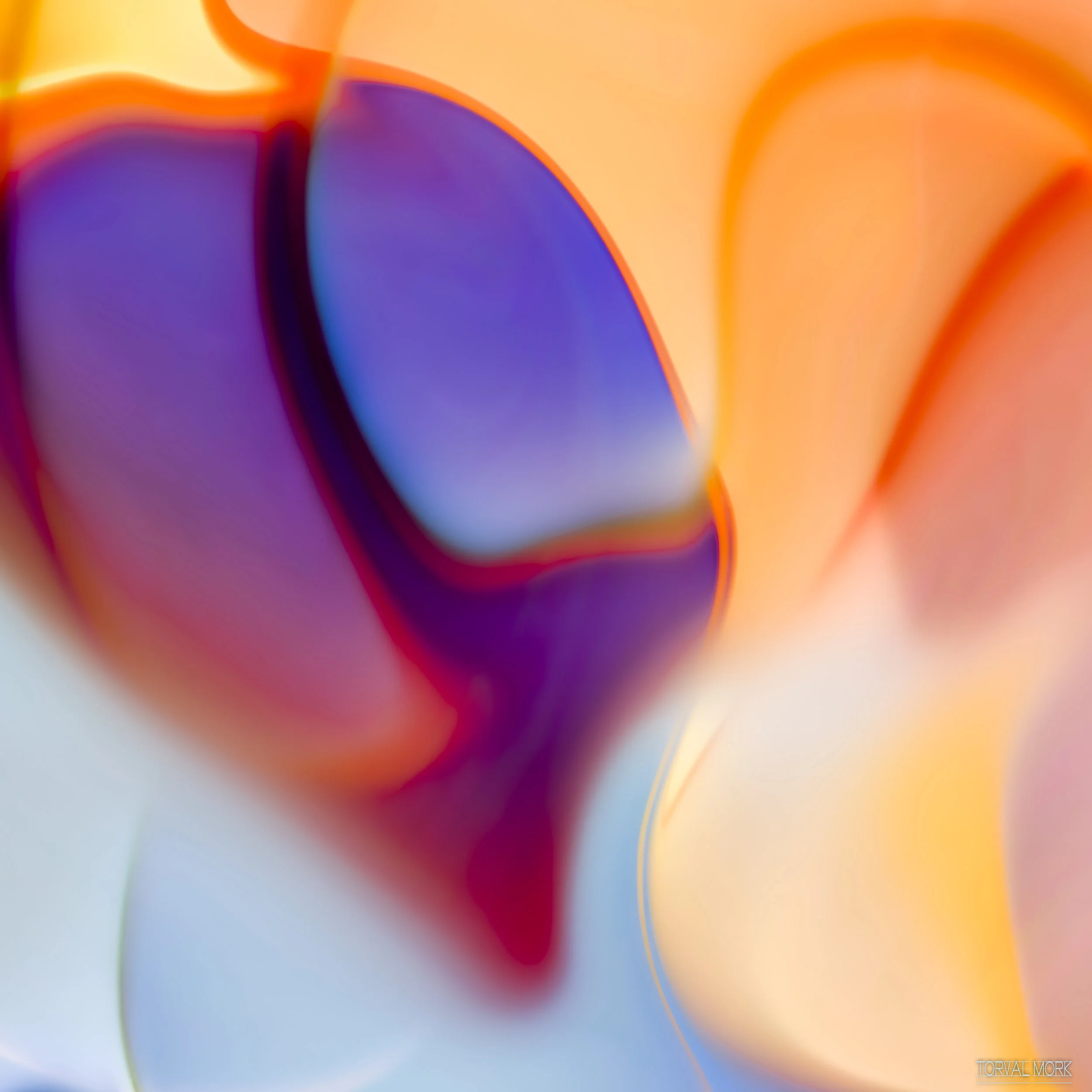 TM DIGITAL ART 20180208-11.JPG