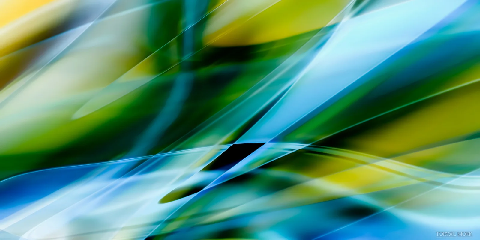 20180318  PANORAMIC-1.JPG