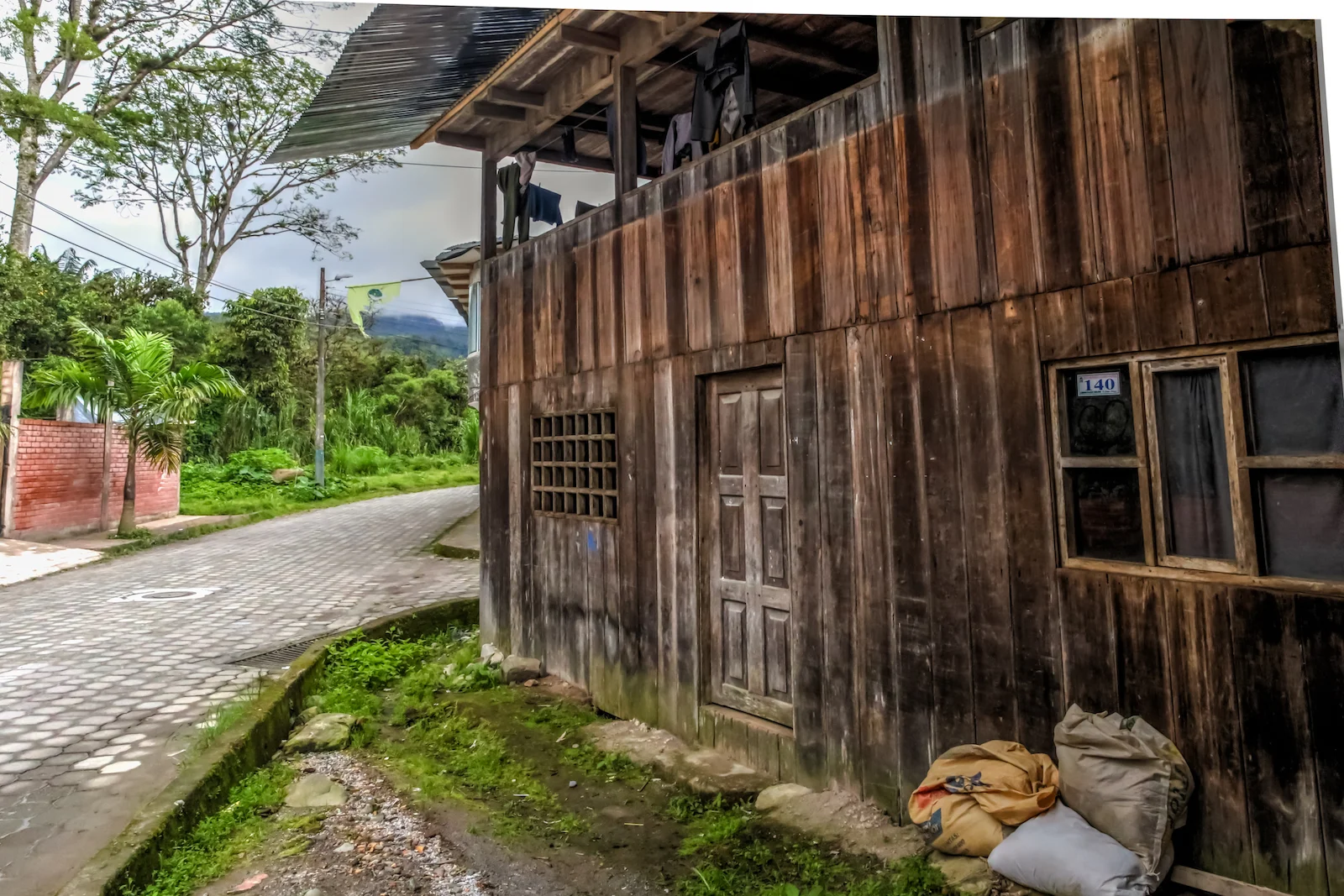 GALAPAGOS QUITO FOREST-2.JPG
