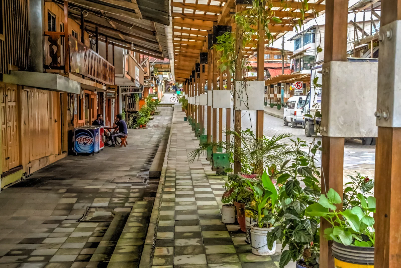 GALAPAGOS QUITO FOREST-1.JPG