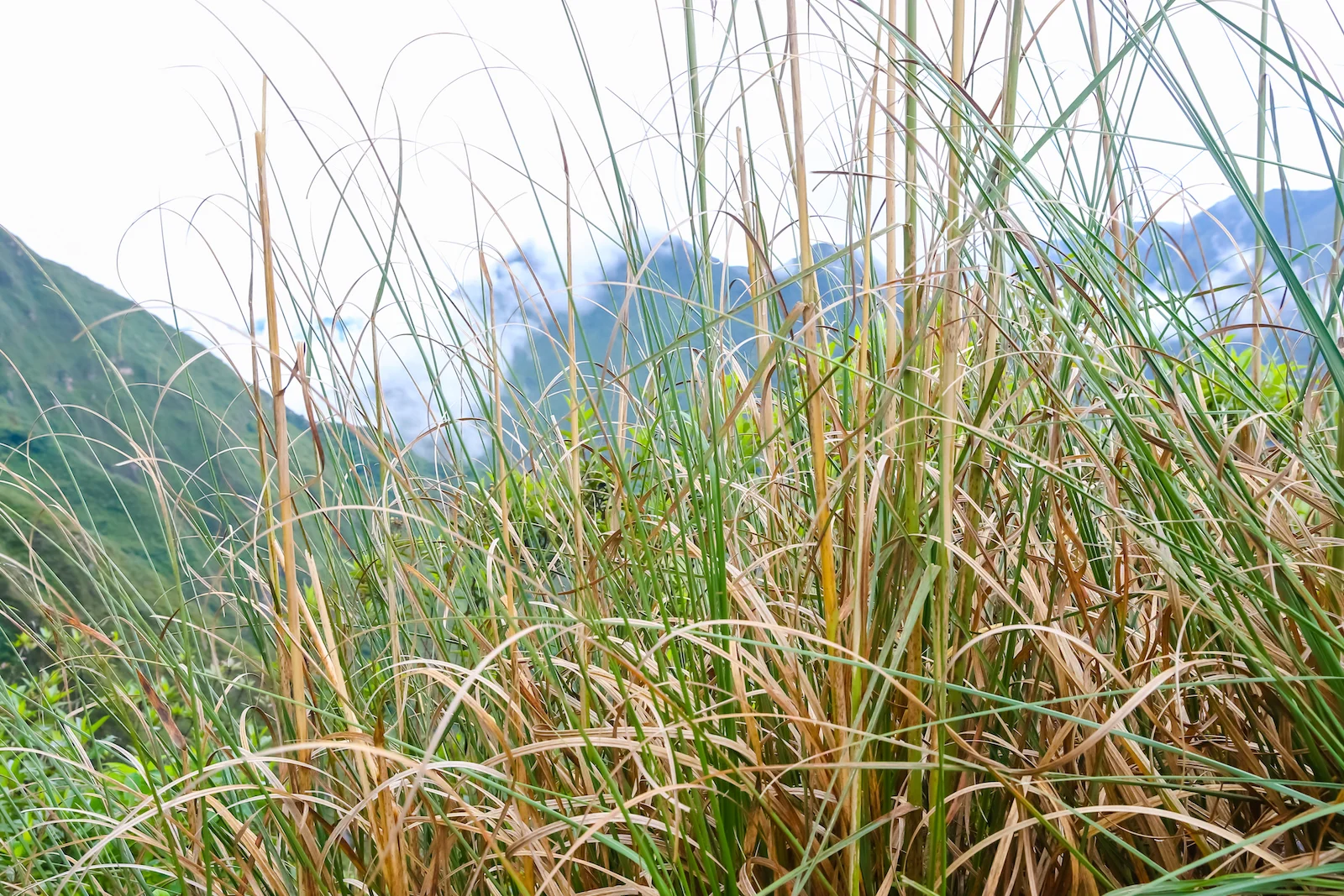 GALAPAGOS QUITO VOLCANO VILLAGE-5.JPG