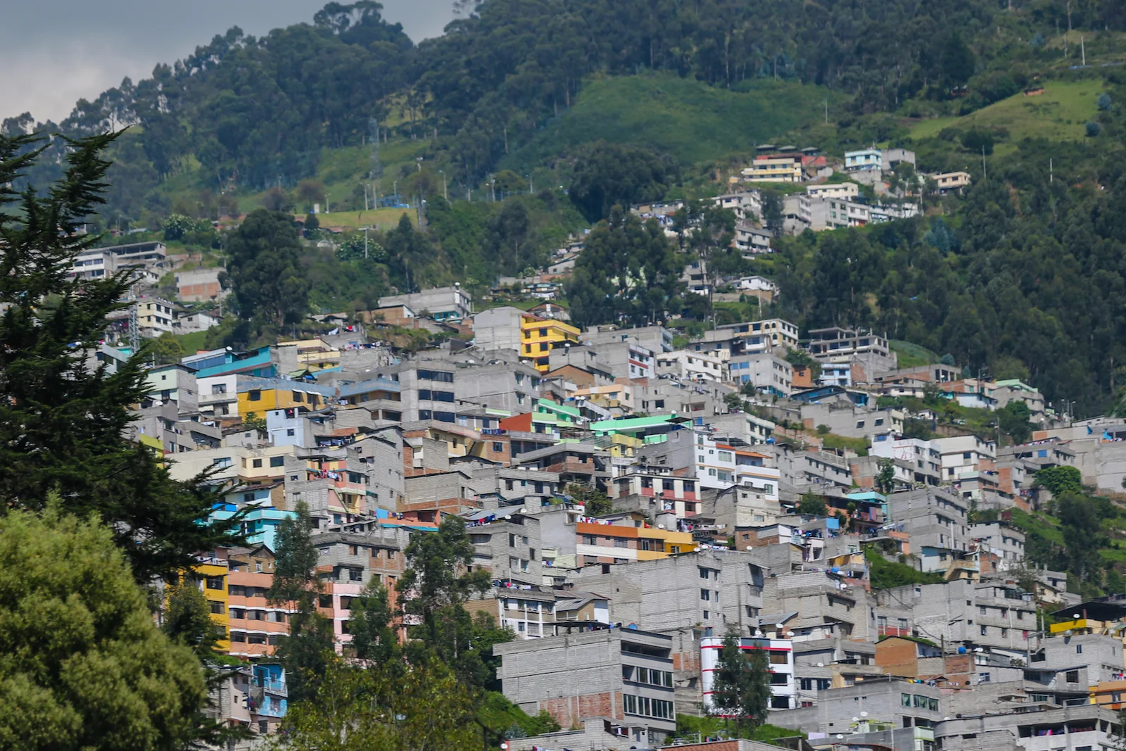 GALAPAGOS QUITO URBAN-3.JPG