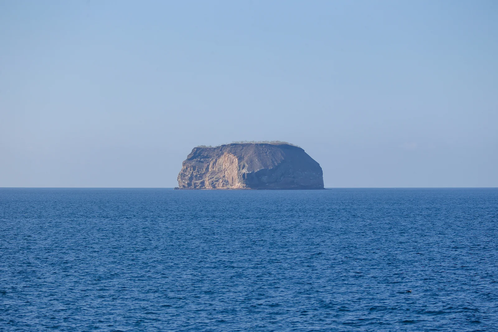 GALAPAGOS DAY 1-2.JPG