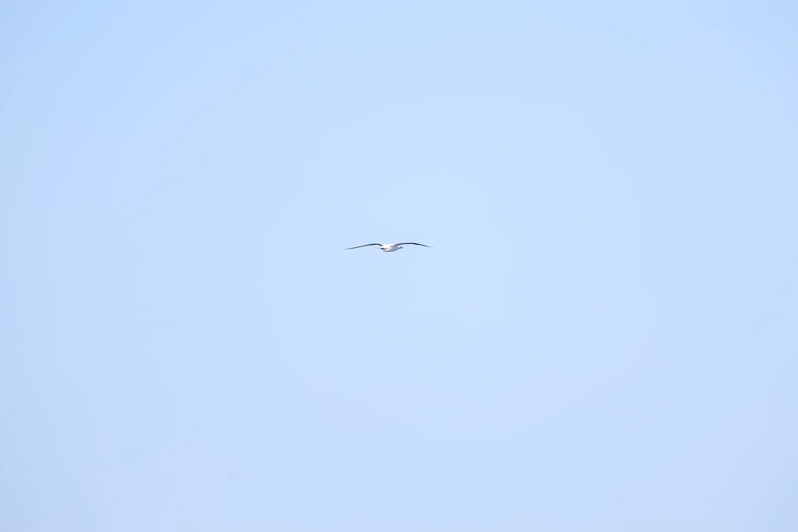 GALAPAGOS DAY 1-4.JPG