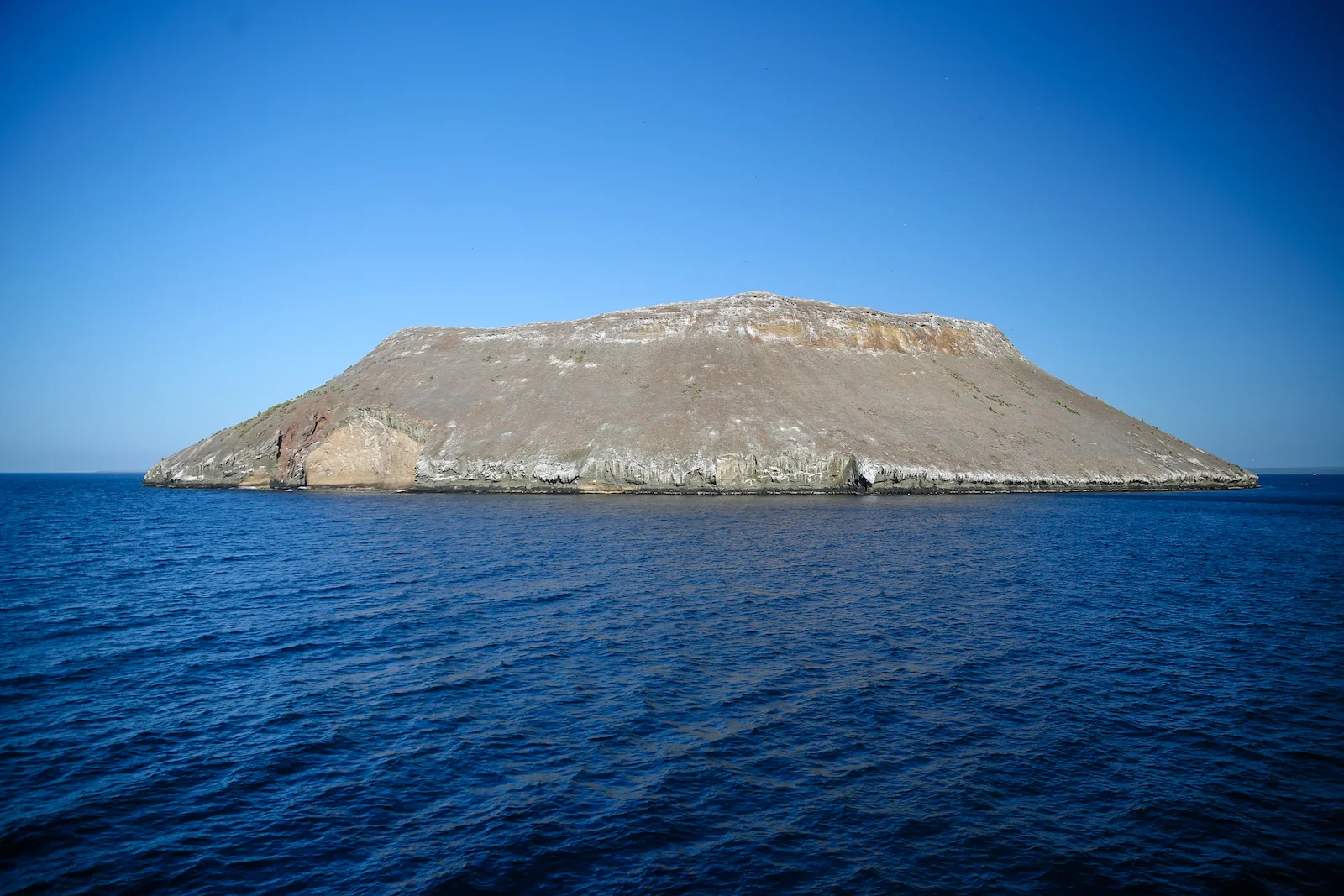 GALAPAGOS DAY 1-5.JPG