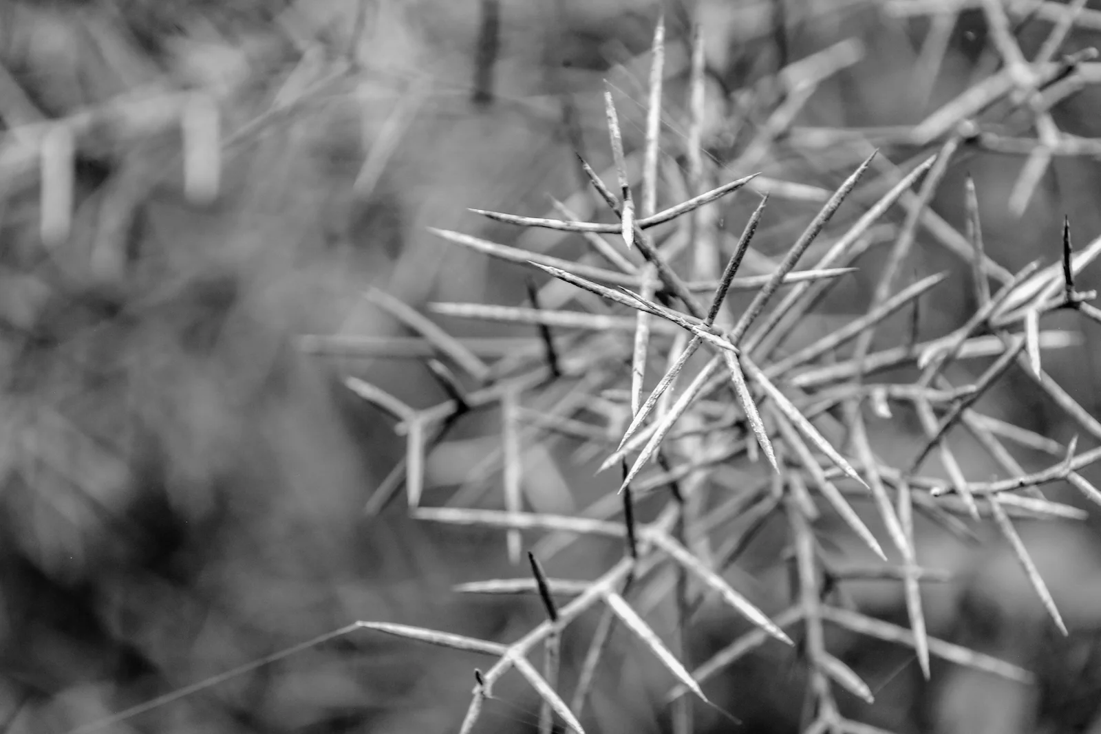 GALAPAGOS DAY 2 A -9.JPG