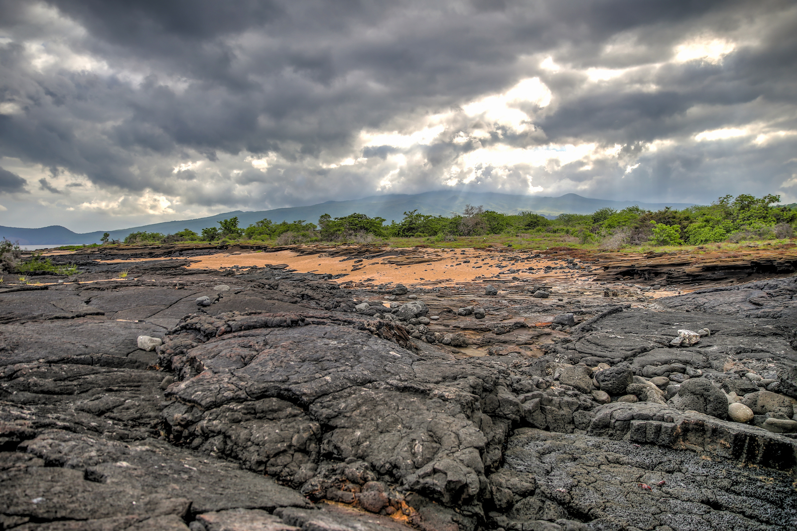 GALAPAGOS DAY 2 A -29.JPG