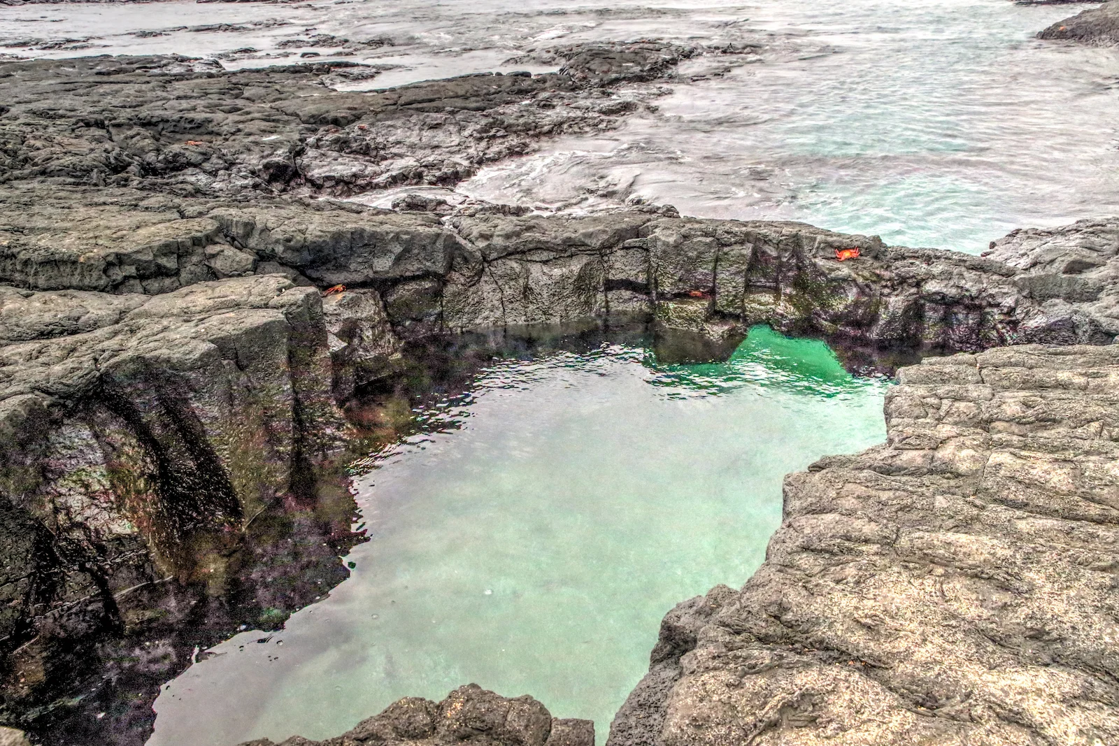 GALAPAGOS DAY 2 A -47.JPG