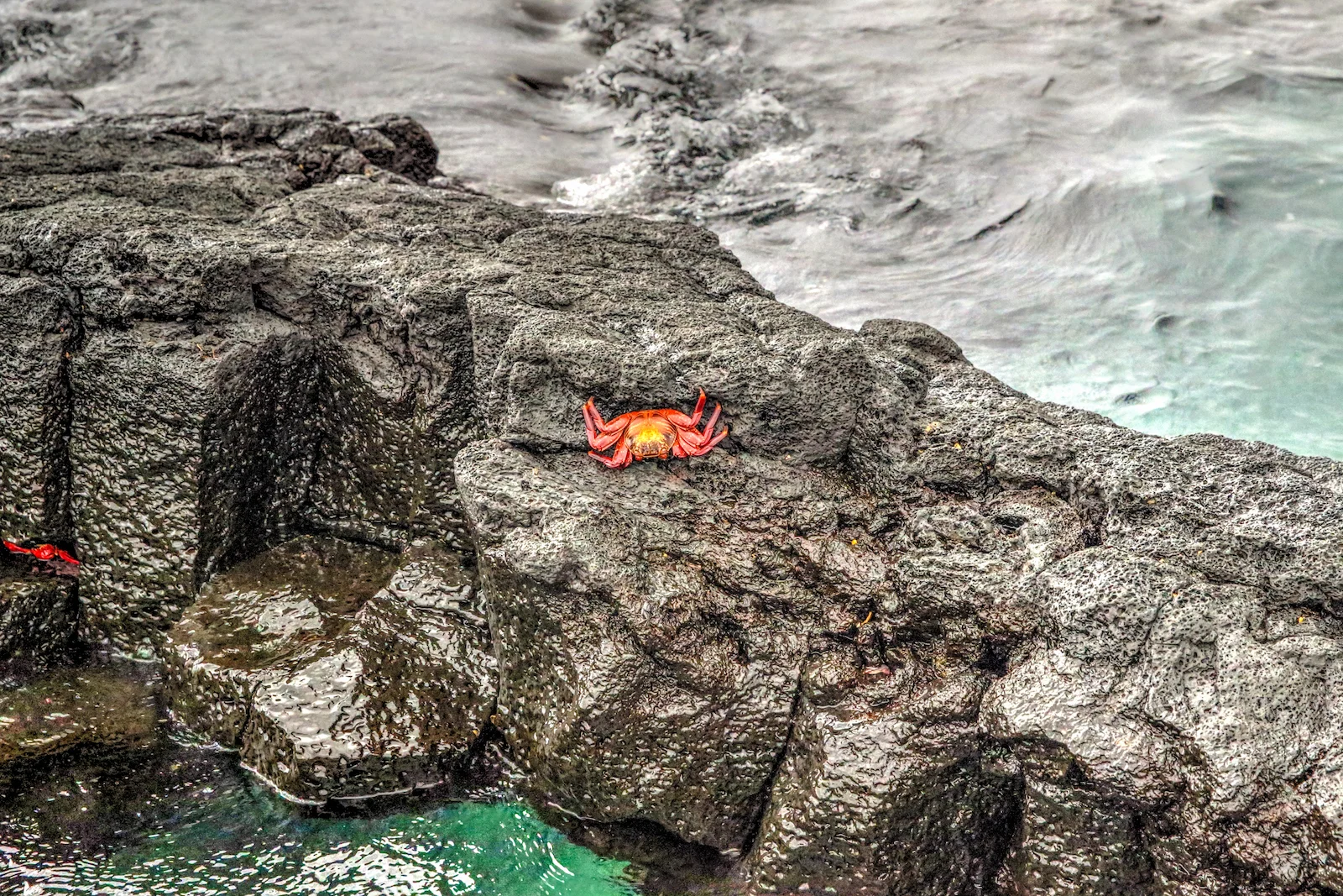 GALAPAGOS DAY 2 A -48.JPG