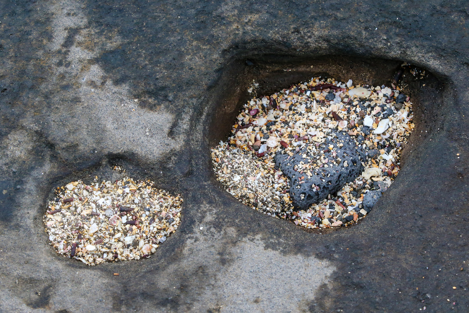 GALAPAGOS DAY 2 A -56.JPG