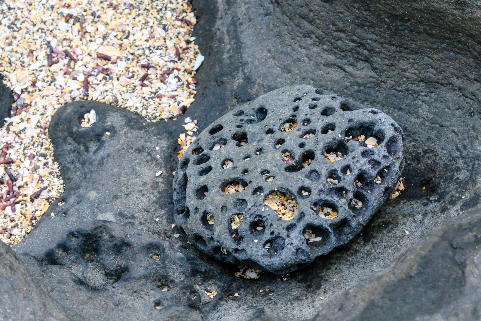 GALAPAGOS DAY 2 A -58.JPG