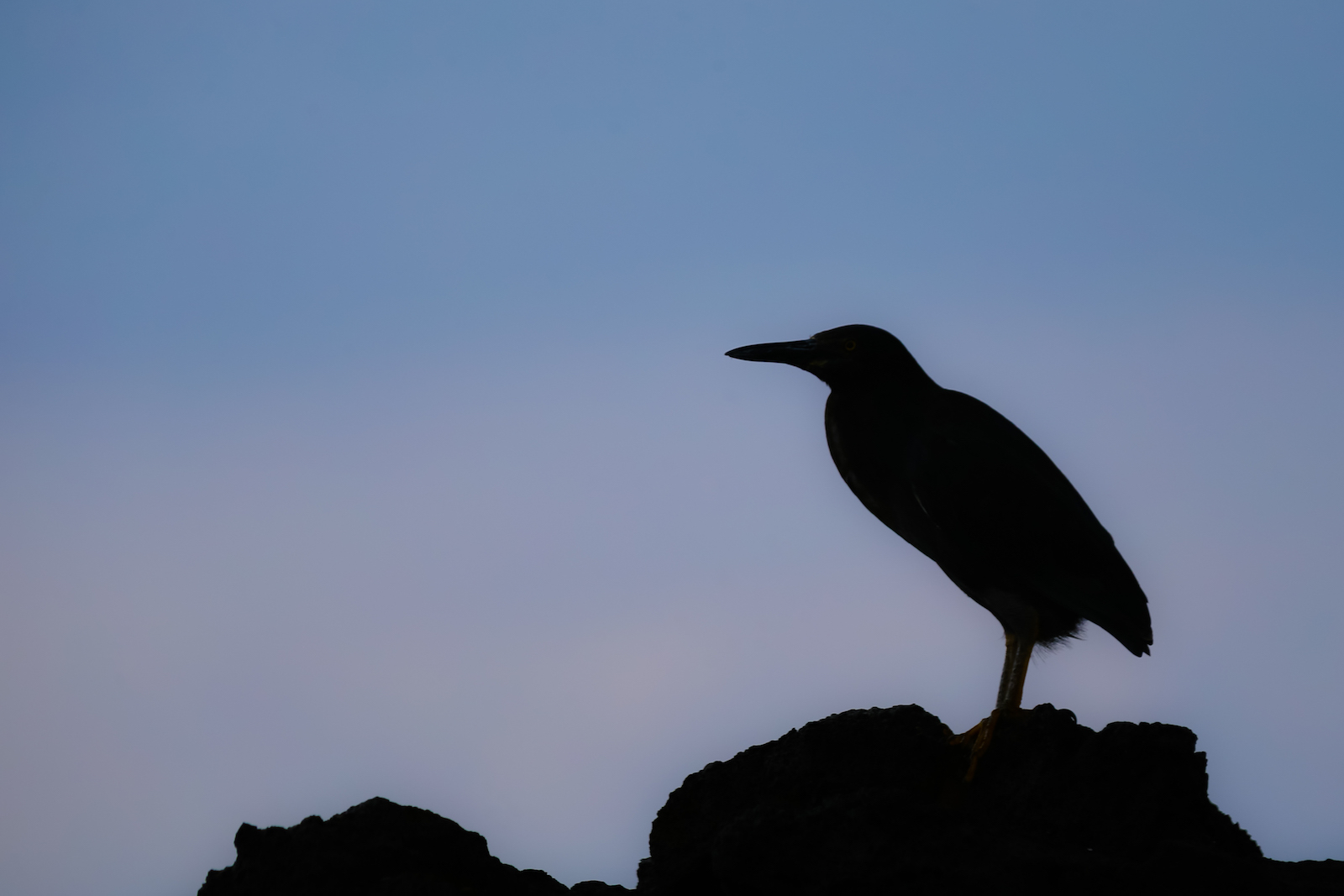 GALAPAGOS DAY 2 A -60.JPG