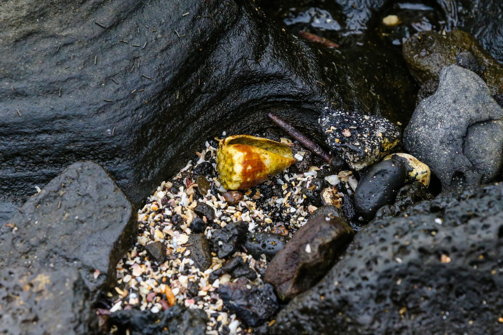 GALAPAGOS DAY 2 A -61.JPG