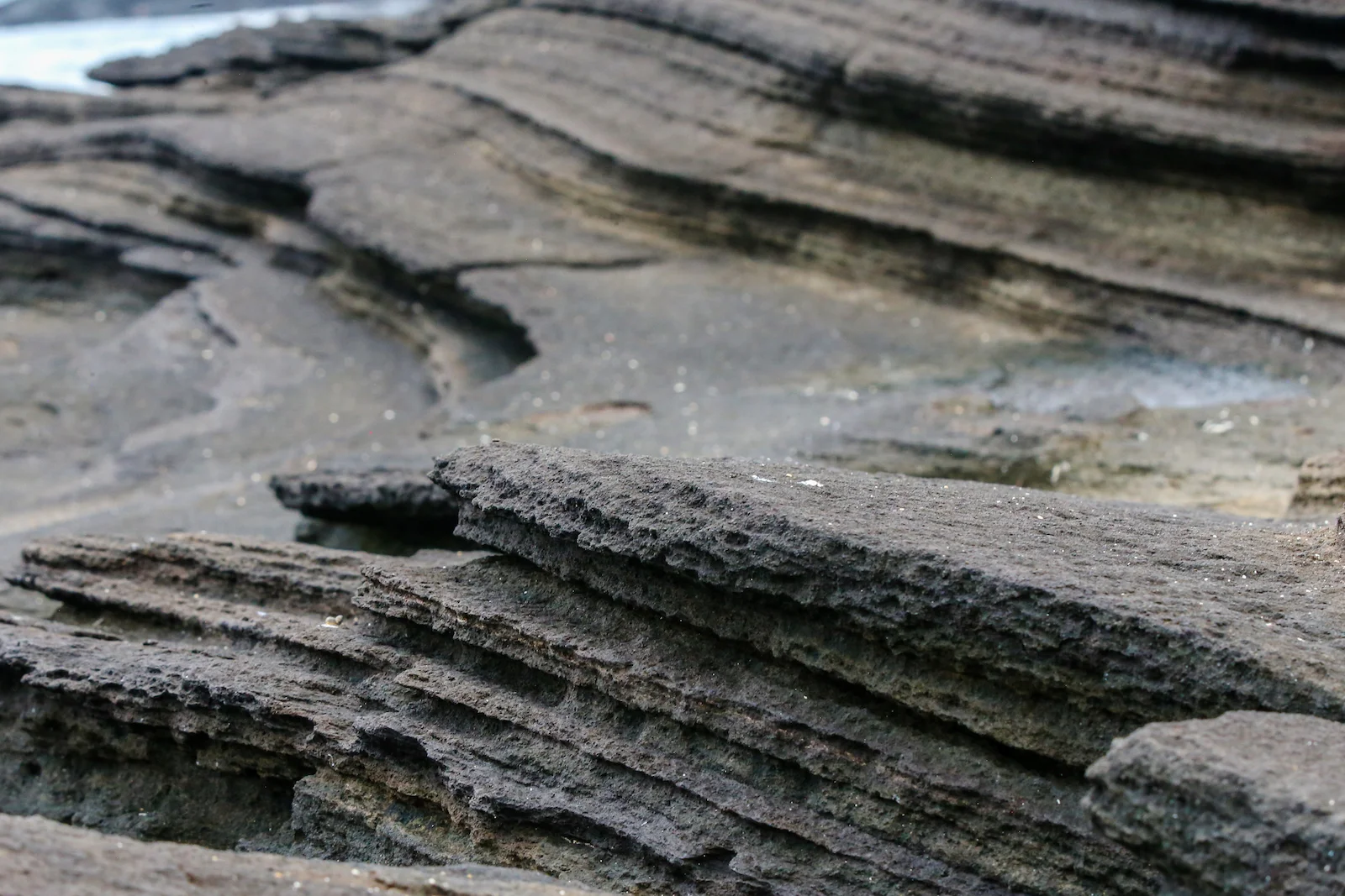 GALAPAGOS DAY 2 A -64.JPG