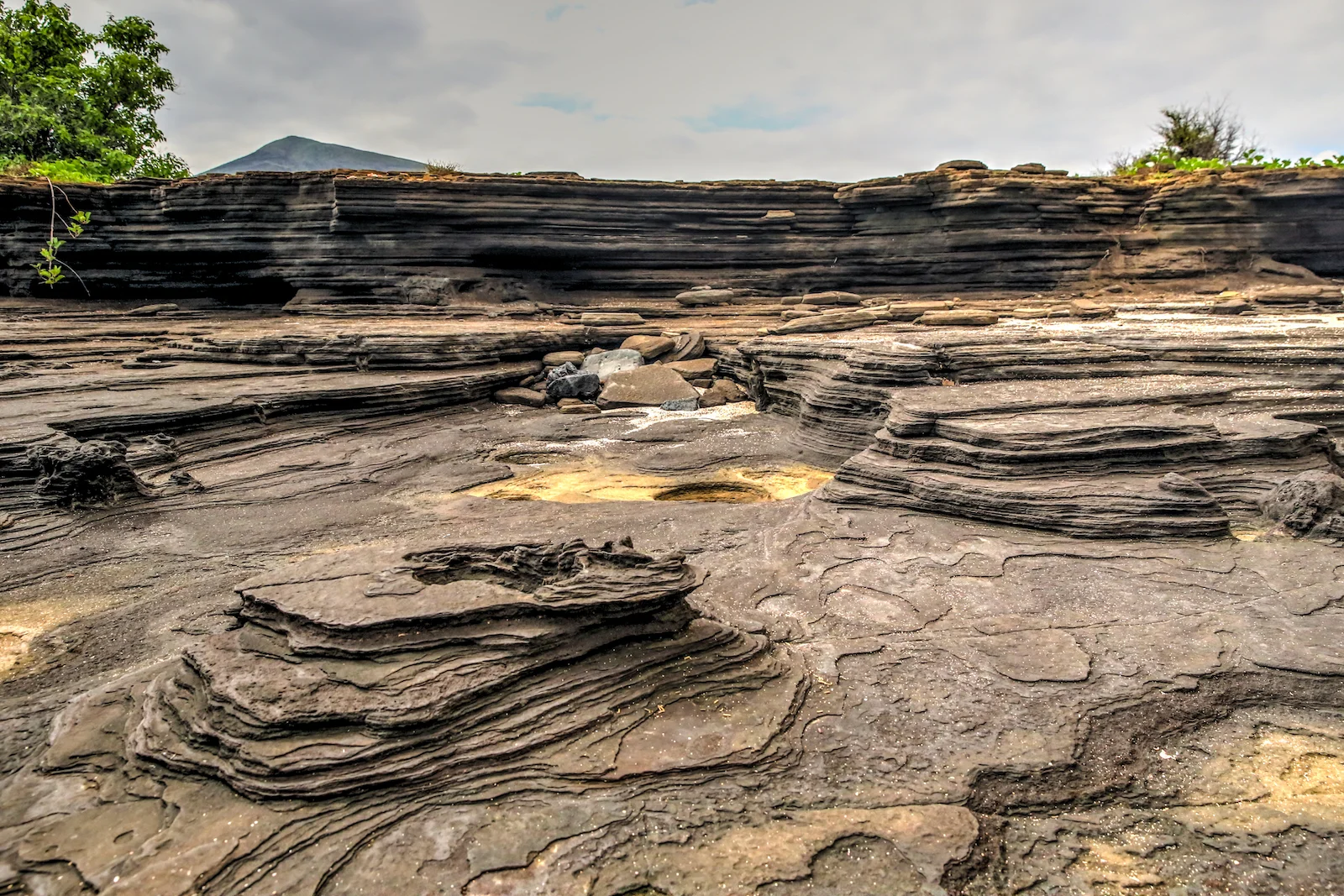 GALAPAGOS DAY 2 A -63.JPG