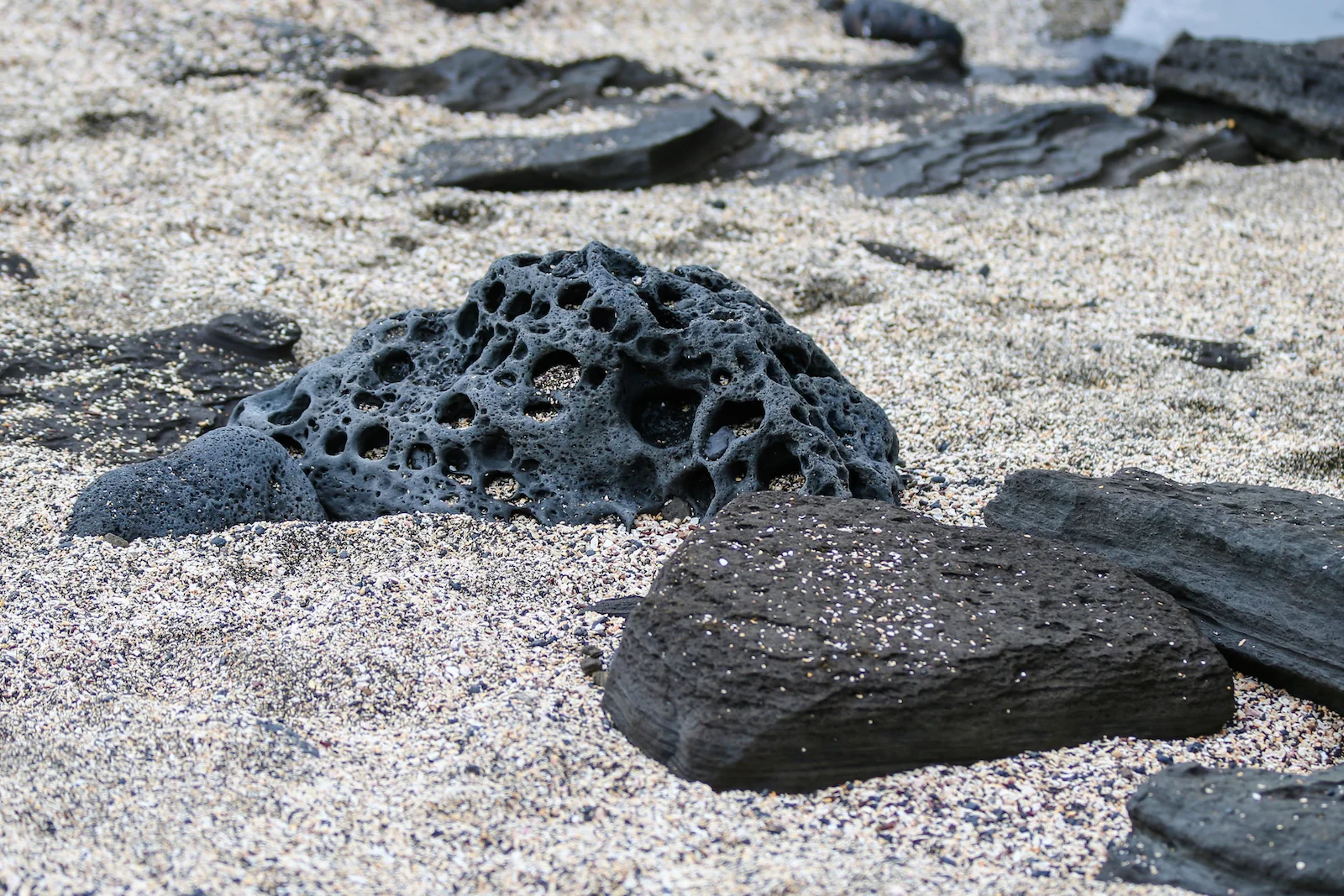 GALAPAGOS DAY 2 A -66.JPG