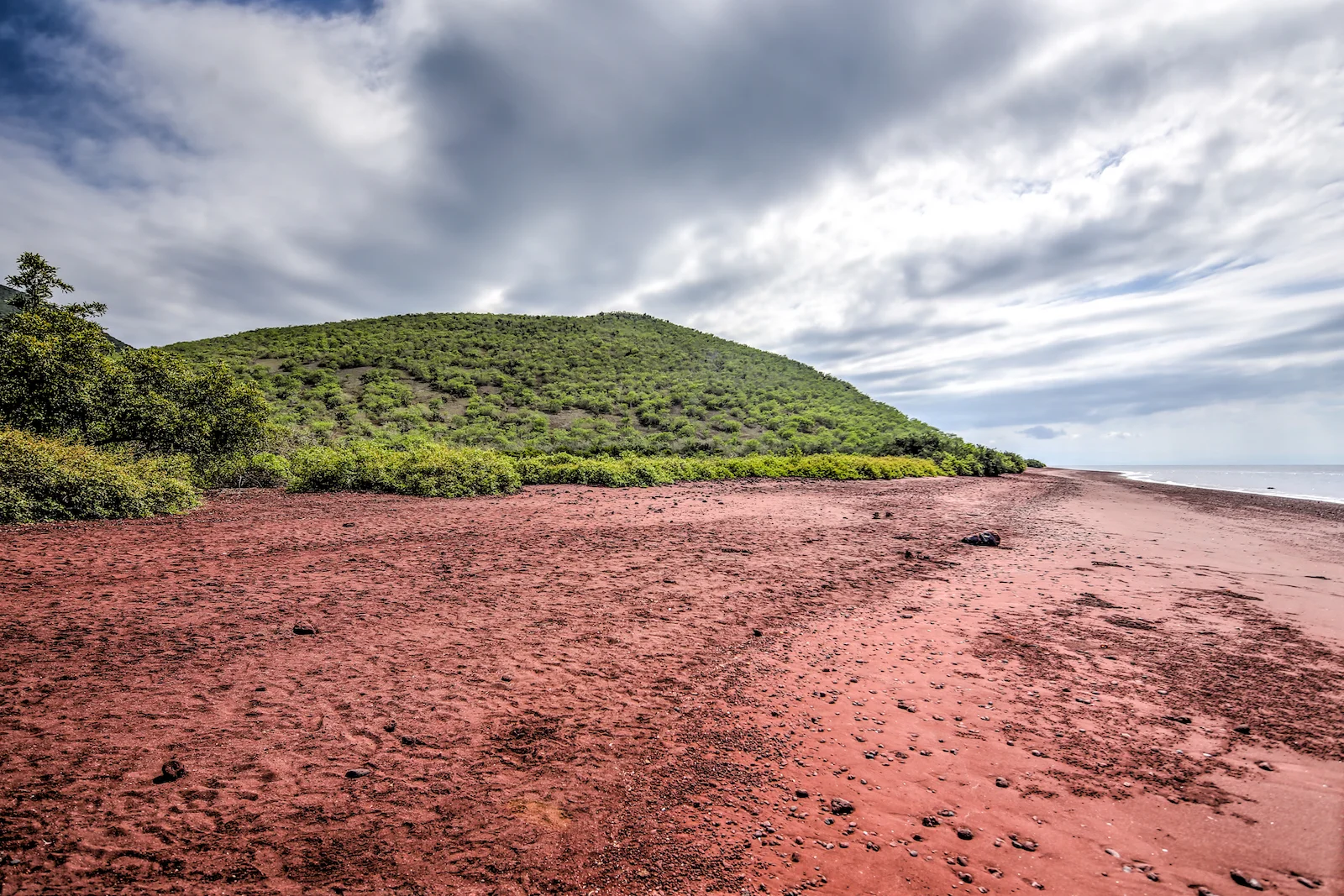 GALAPAGOS DAY 2 B-1.JPG