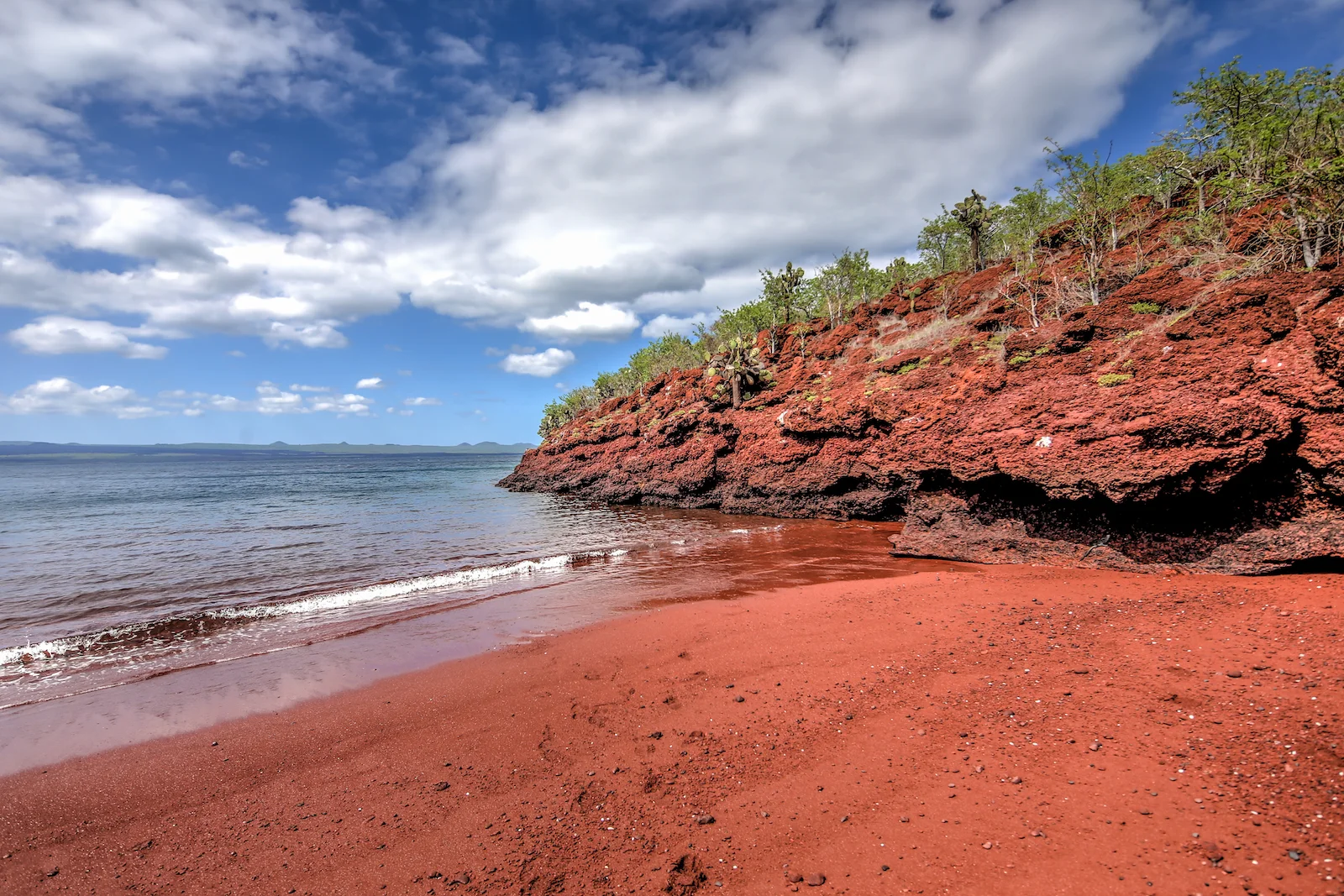 GALAPAGOS DAY 2 B-2.JPG