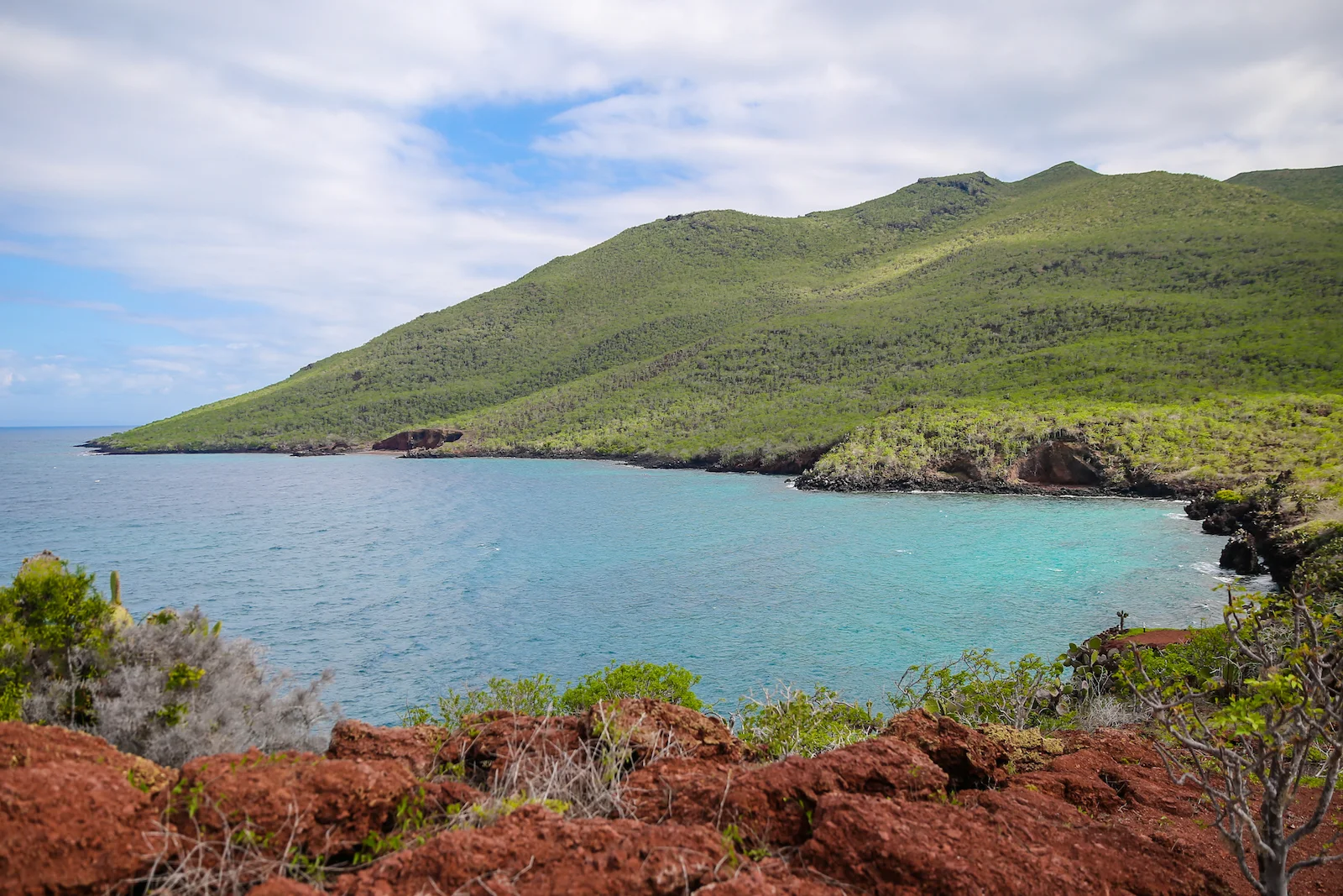 GALAPAGOS DAY 2 B-10.JPG