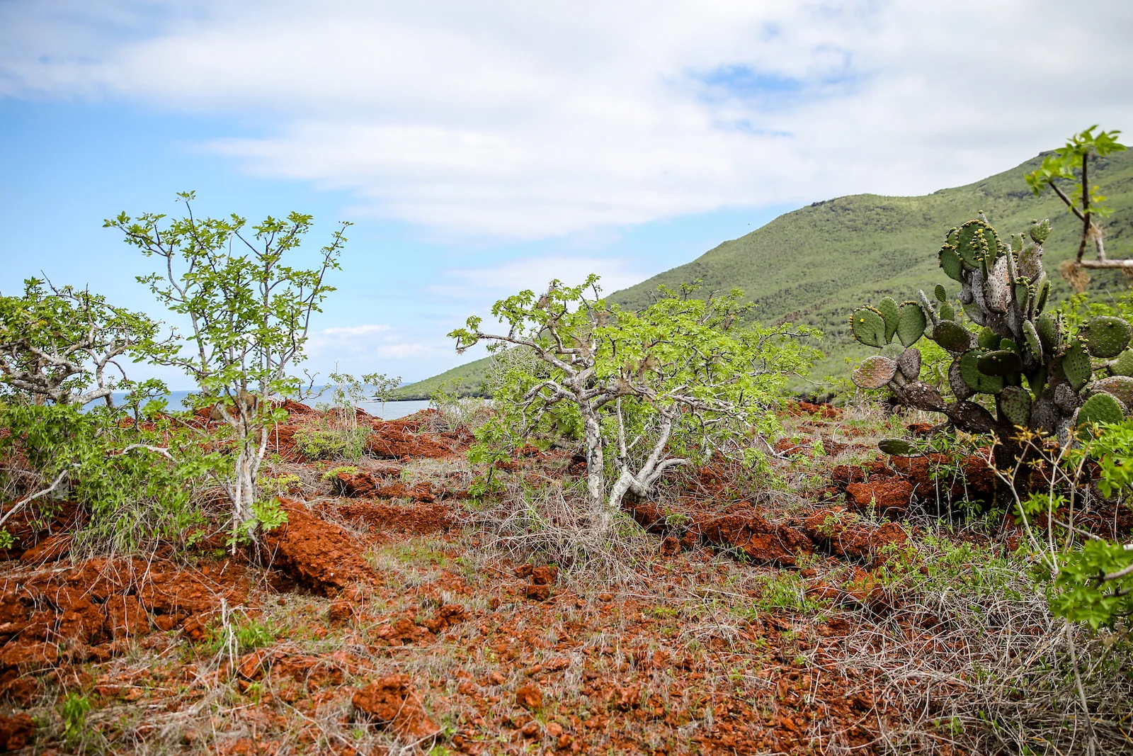 GALAPAGOS DAY 2 B-9.JPG
