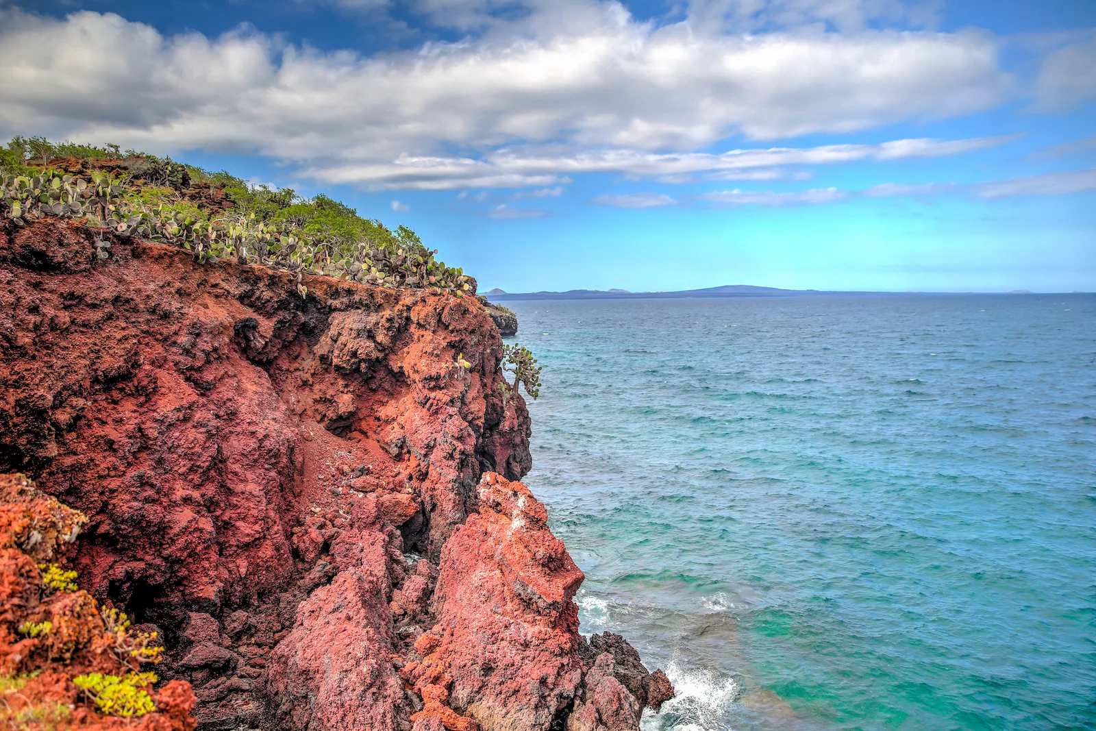 GALAPAGOS DAY 2 B-12.JPG