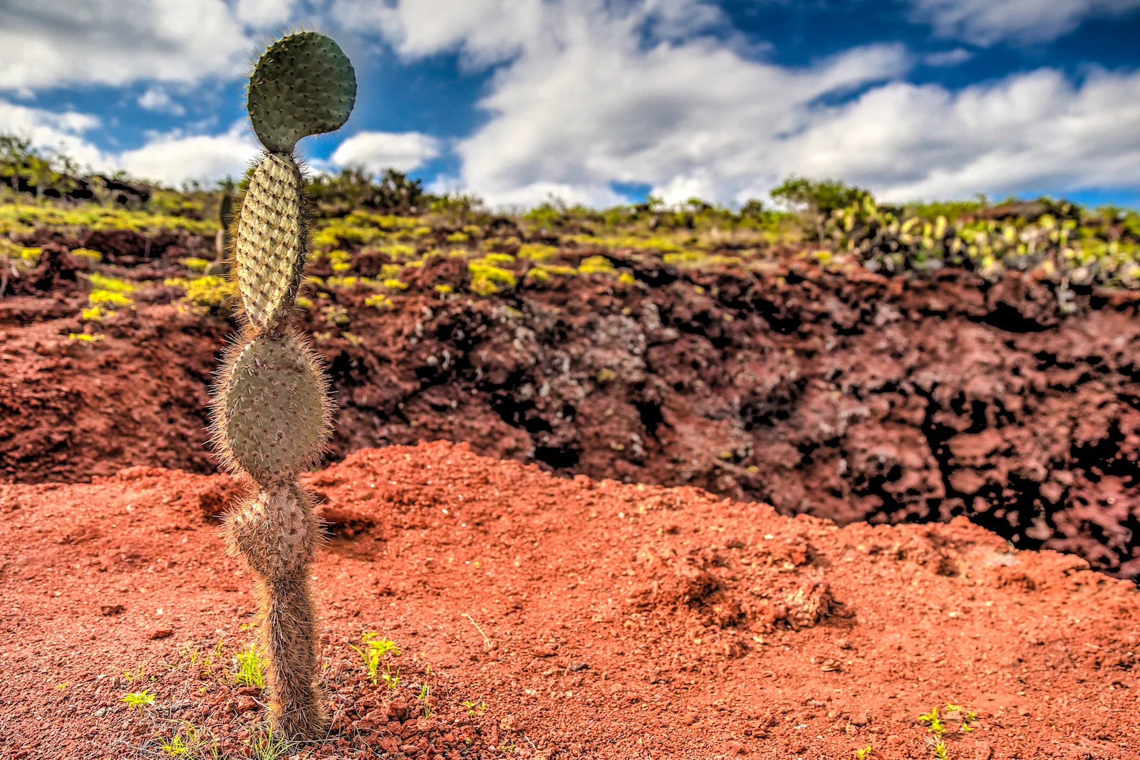 GALAPAGOS DAY 2 B-13.JPG