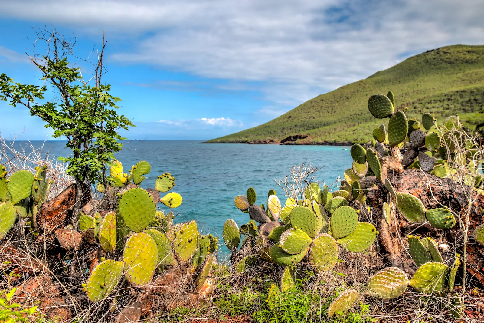 GALAPAGOS DAY 2 B-14.JPG