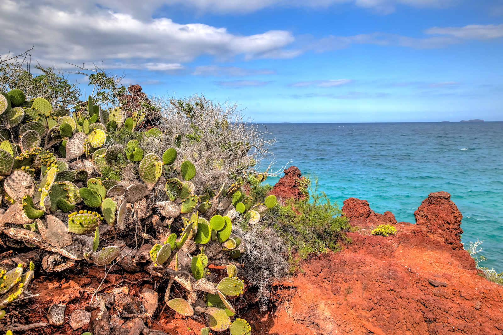 GALAPAGOS DAY 2 B-16.JPG